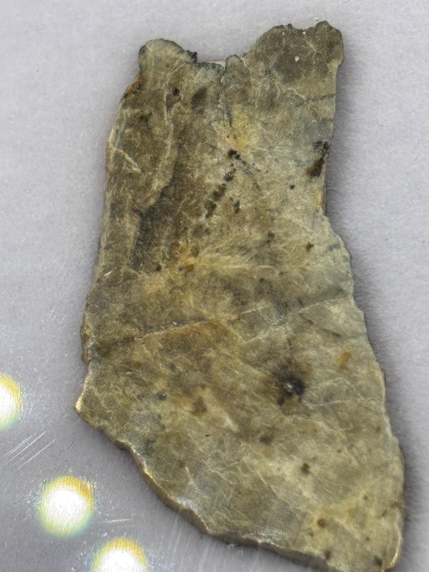 Djoua 001 Aubrite Meteorite Specimen Official Enstatite Achondrite Algeria Meteorite