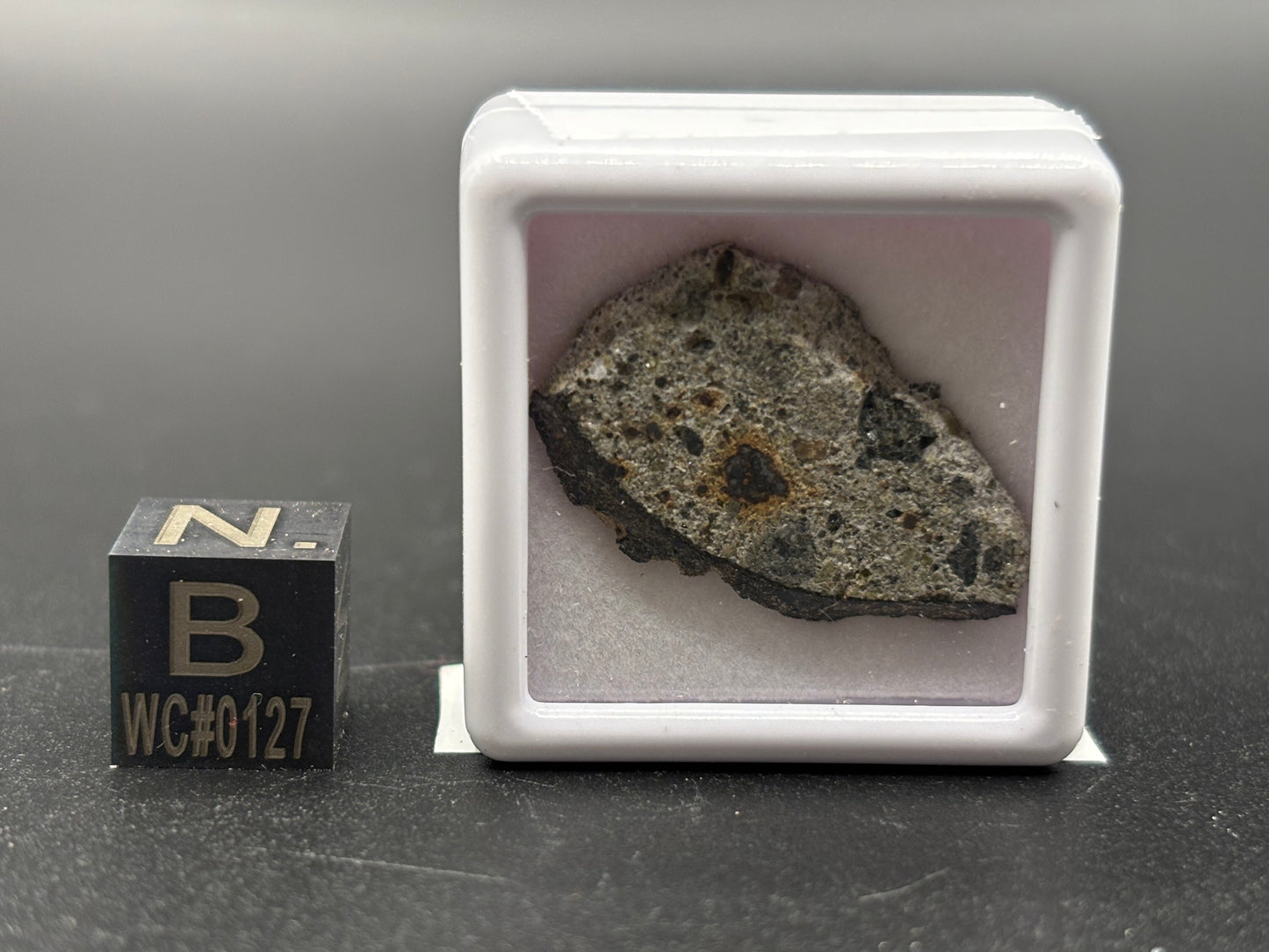 NWA 15000 Eucrite Meteorite Specimen Official Polymict HED Achondrite Northwest Africa
