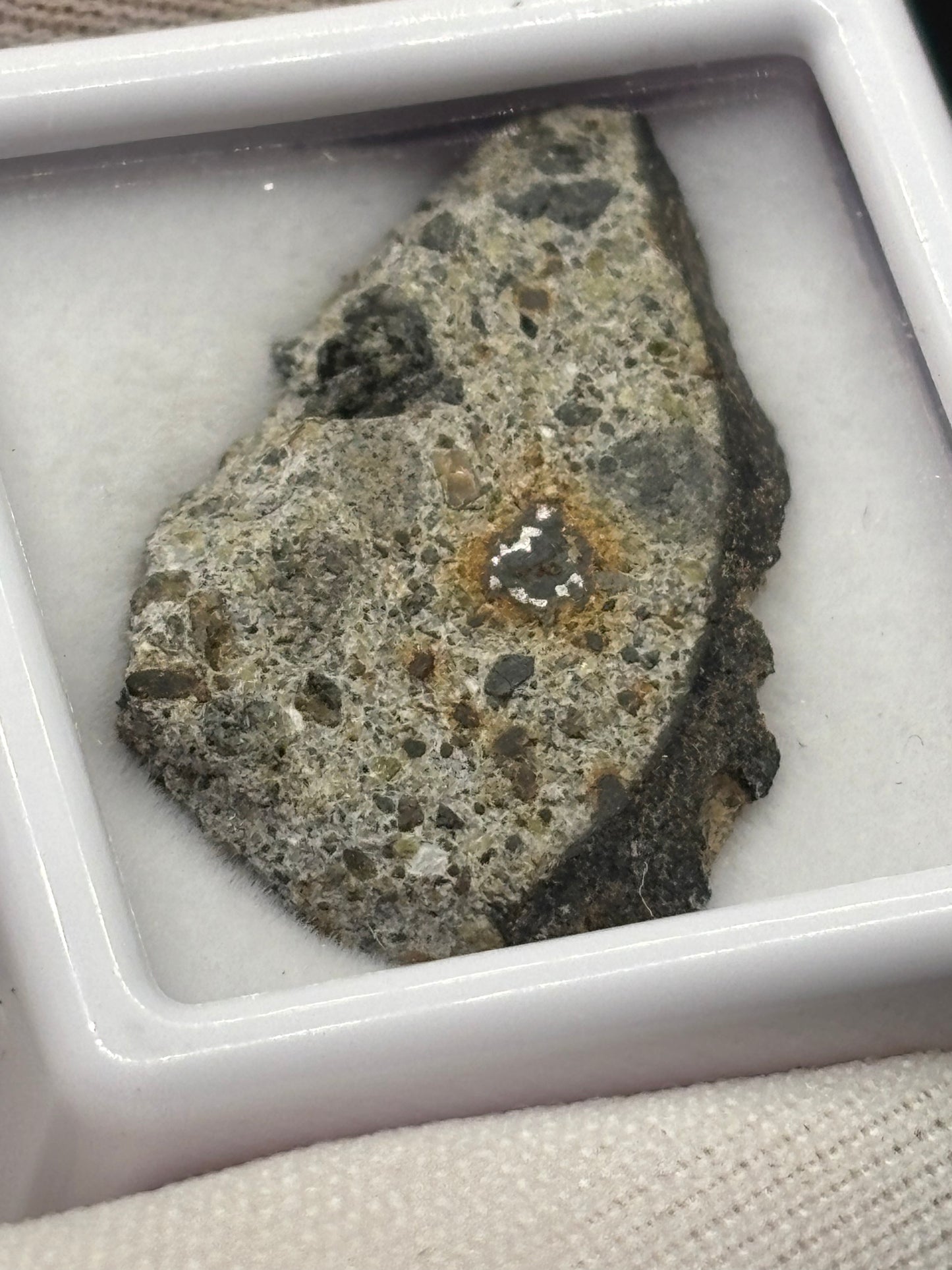 NWA 15000 Eucrite Meteorite Specimen Official Polymict HED Achondrite Northwest Africa