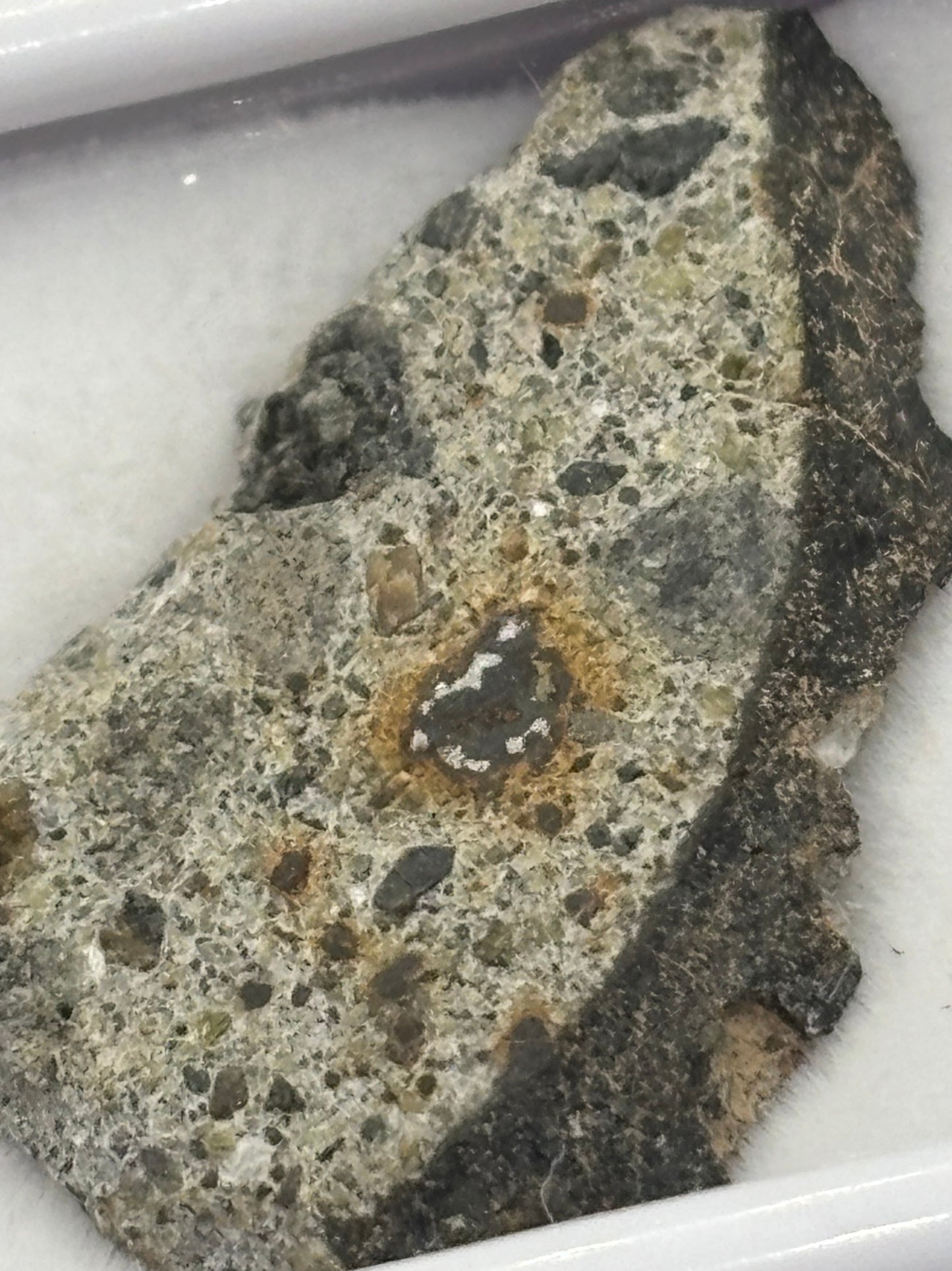 NWA 15000 Eucrite Meteorite Specimen Official Polymict HED Achondrite Northwest Africa