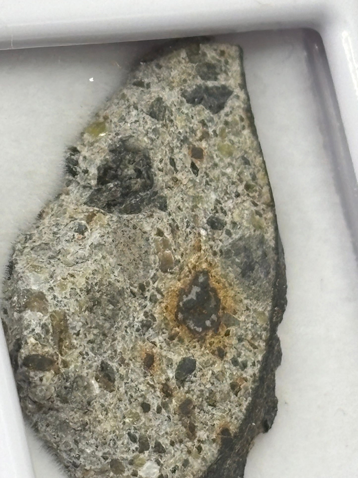NWA 15000 Eucrite Meteorite Specimen Official Polymict HED Achondrite Northwest Africa