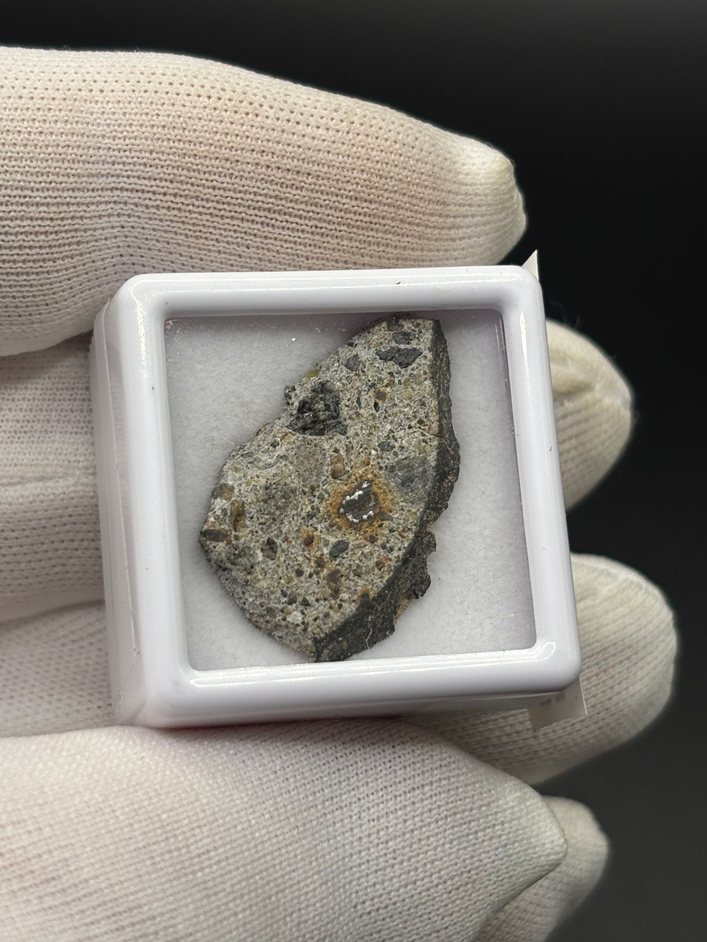 NWA 15000 Eucrite Meteorite Specimen Official Polymict HED Achondrite Northwest Africa