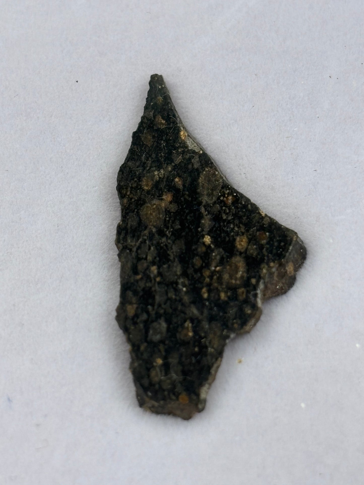 NWA 1465 Carbonaceous Chondrite Meteorite Rare CV3-an Anomalous Northwest Africa