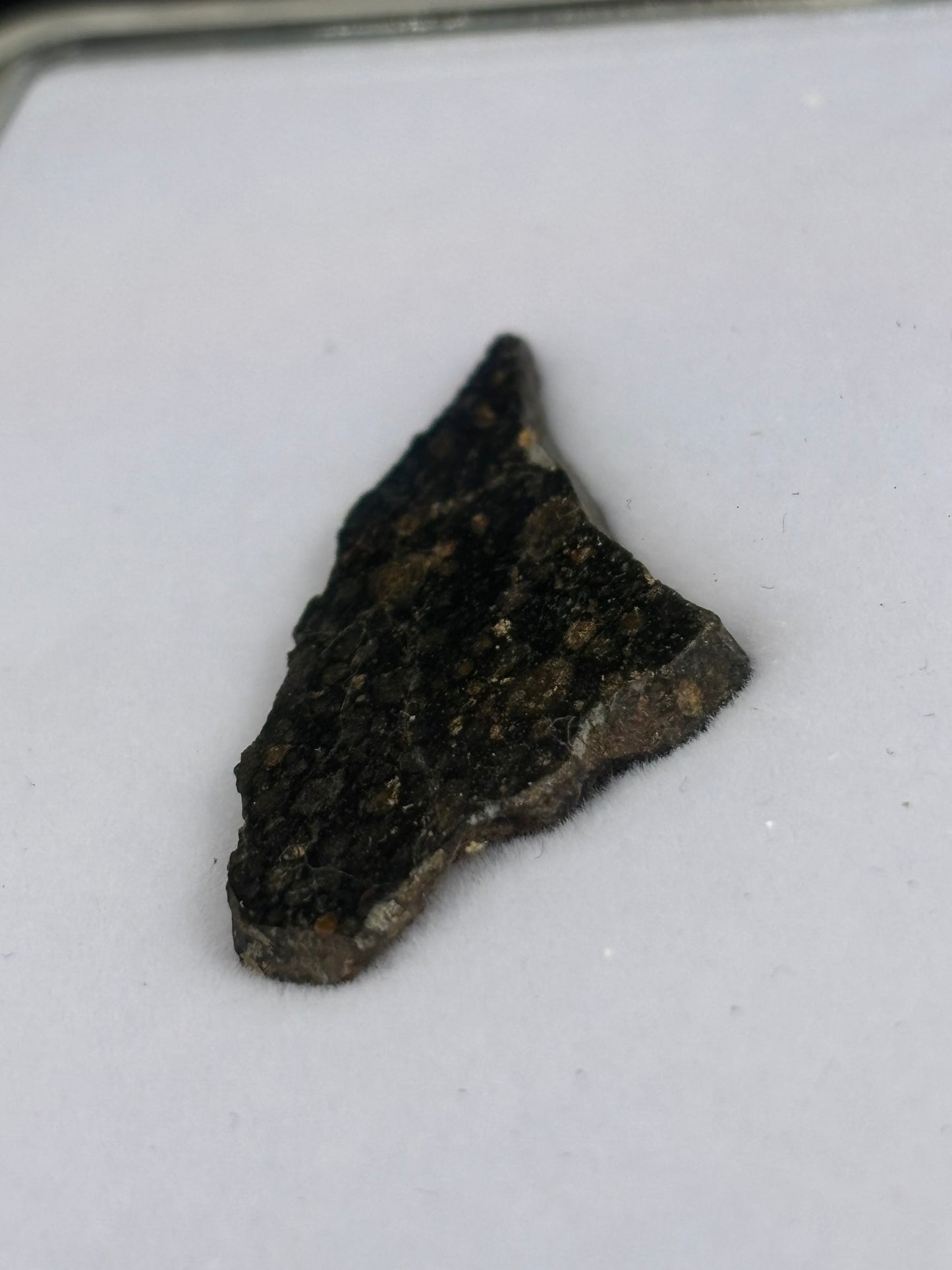 NWA 1465 Carbonaceous Chondrite Meteorite Rare CV3-an Anomalous Northwest Africa