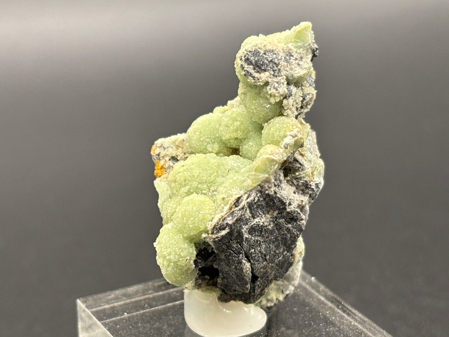 Wavellite Specimen Mauldin Mountain Pit Mount Ida Arkansas