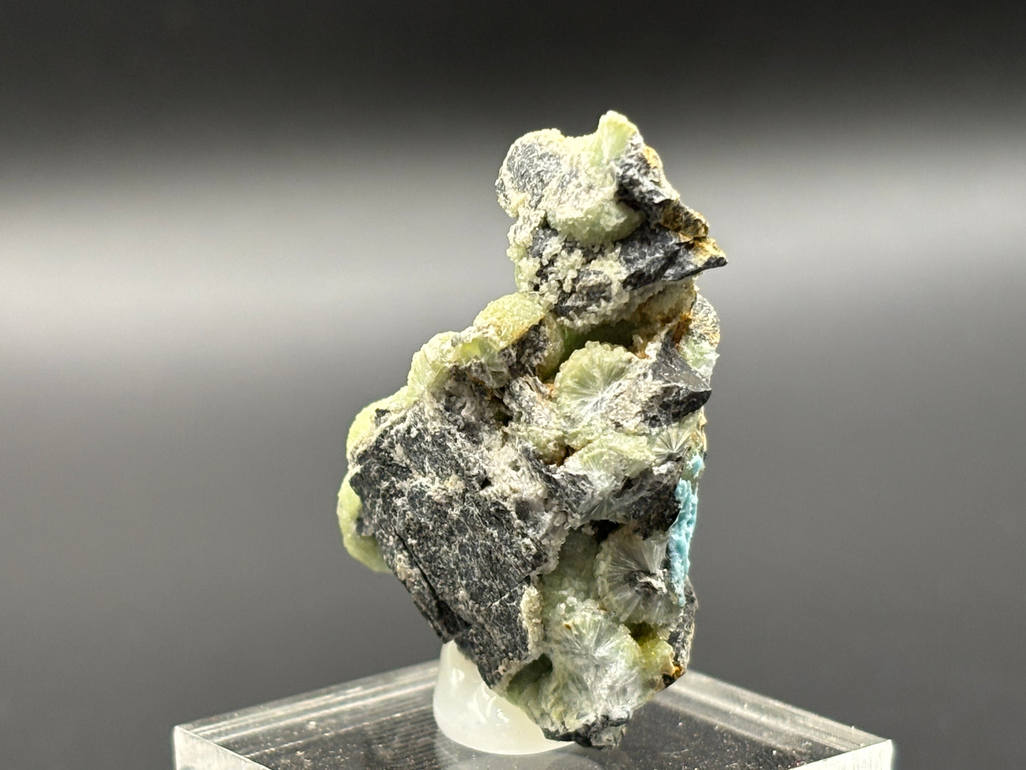 Wavellite Specimen Mauldin Mountain Pit Mount Ida Arkansas