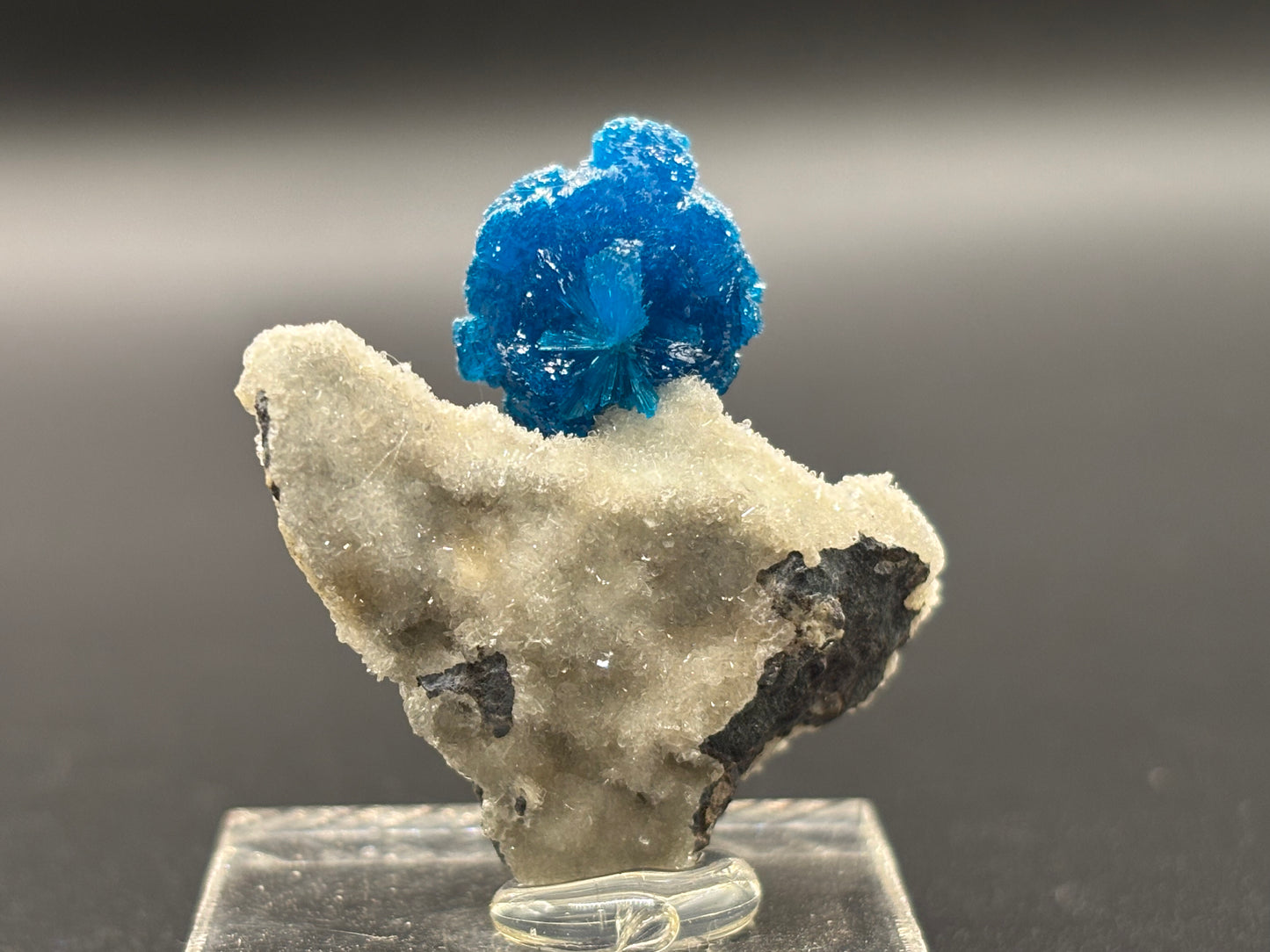 Cavansite on Matrix – Wagholi, Pune District, Maharashtra, India