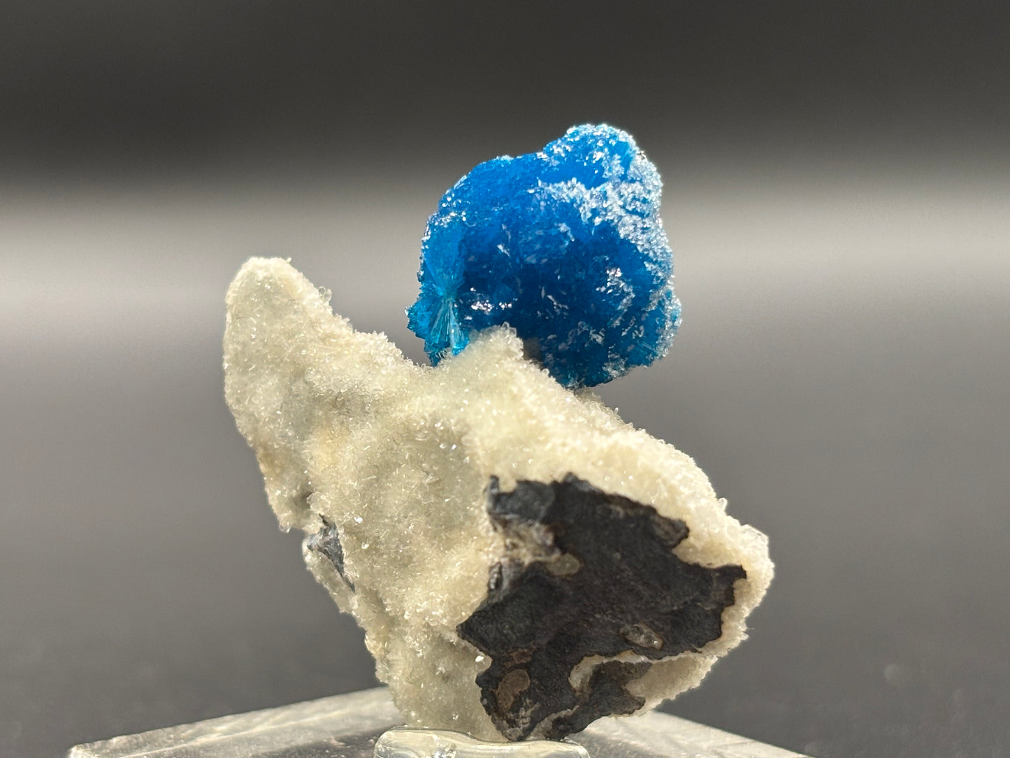 Cavansite on Matrix – Wagholi, Pune District, Maharashtra, India