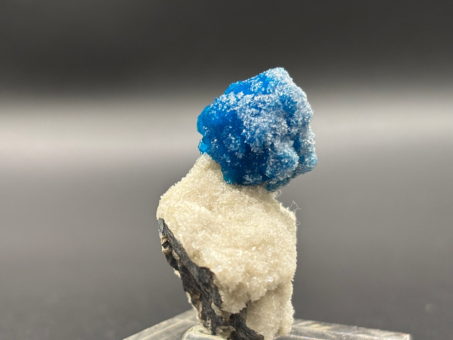 Cavansite on Matrix – Wagholi, Pune District, Maharashtra, India