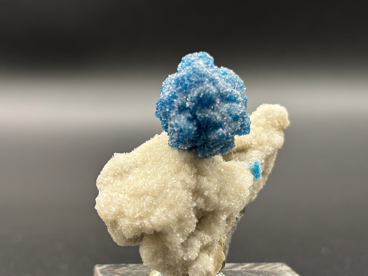 Cavansite on Matrix – Wagholi, Pune District, Maharashtra, India