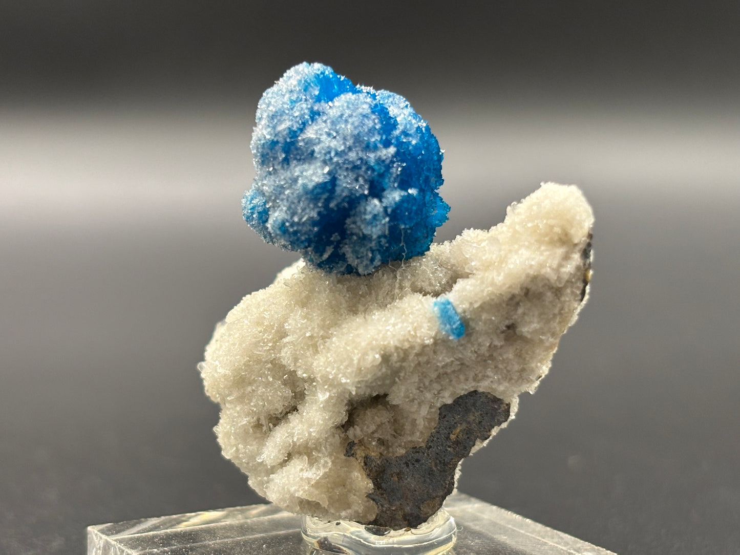 Cavansite on Matrix – Wagholi, Pune District, Maharashtra, India