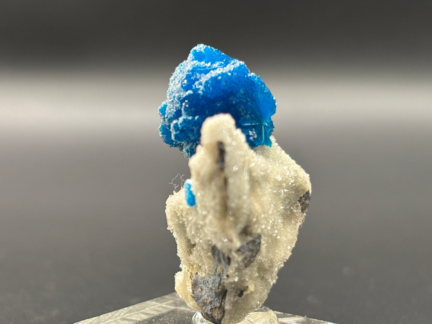 Cavansite on Matrix – Wagholi, Pune District, Maharashtra, India