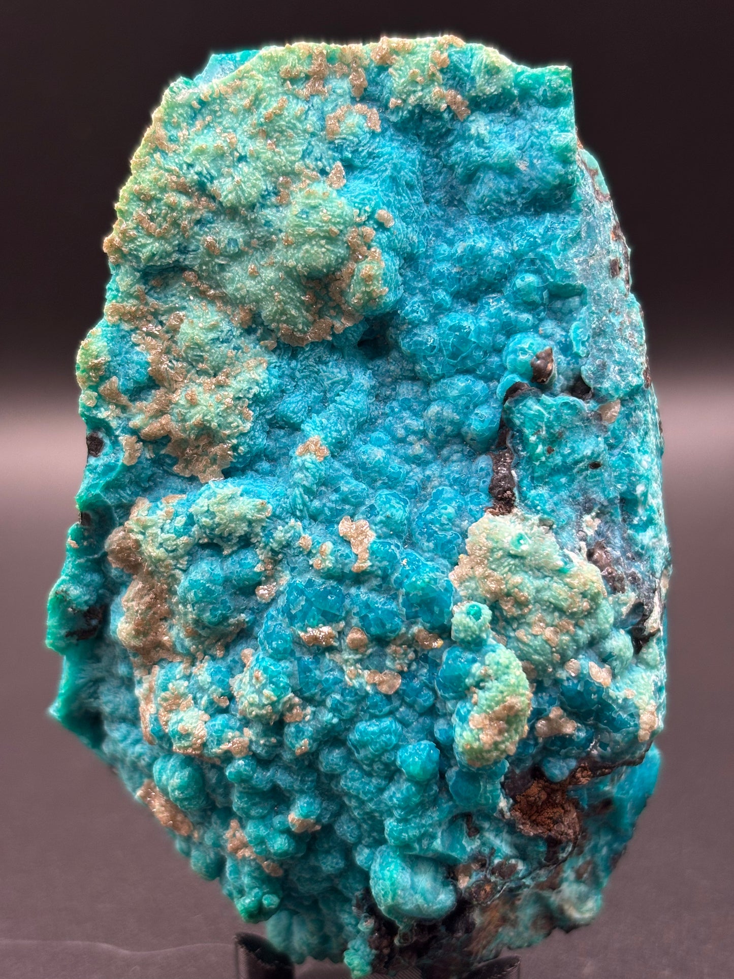 Chrysocolla Specimen – 79 Mine, Gila County, Arizona | 2024 Discovery