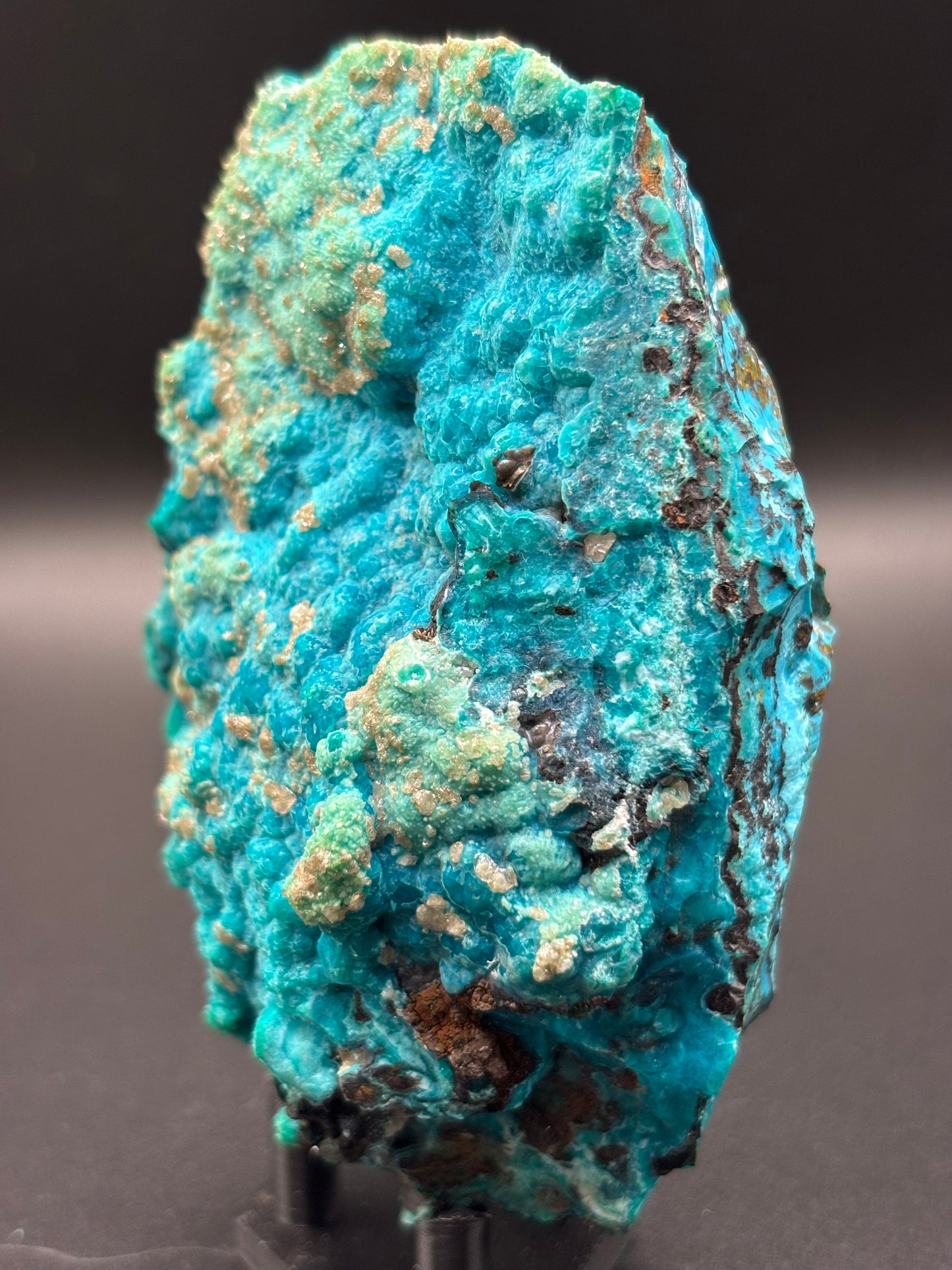Chrysocolla Specimen – 79 Mine, Gila County, Arizona | 2024 Discovery