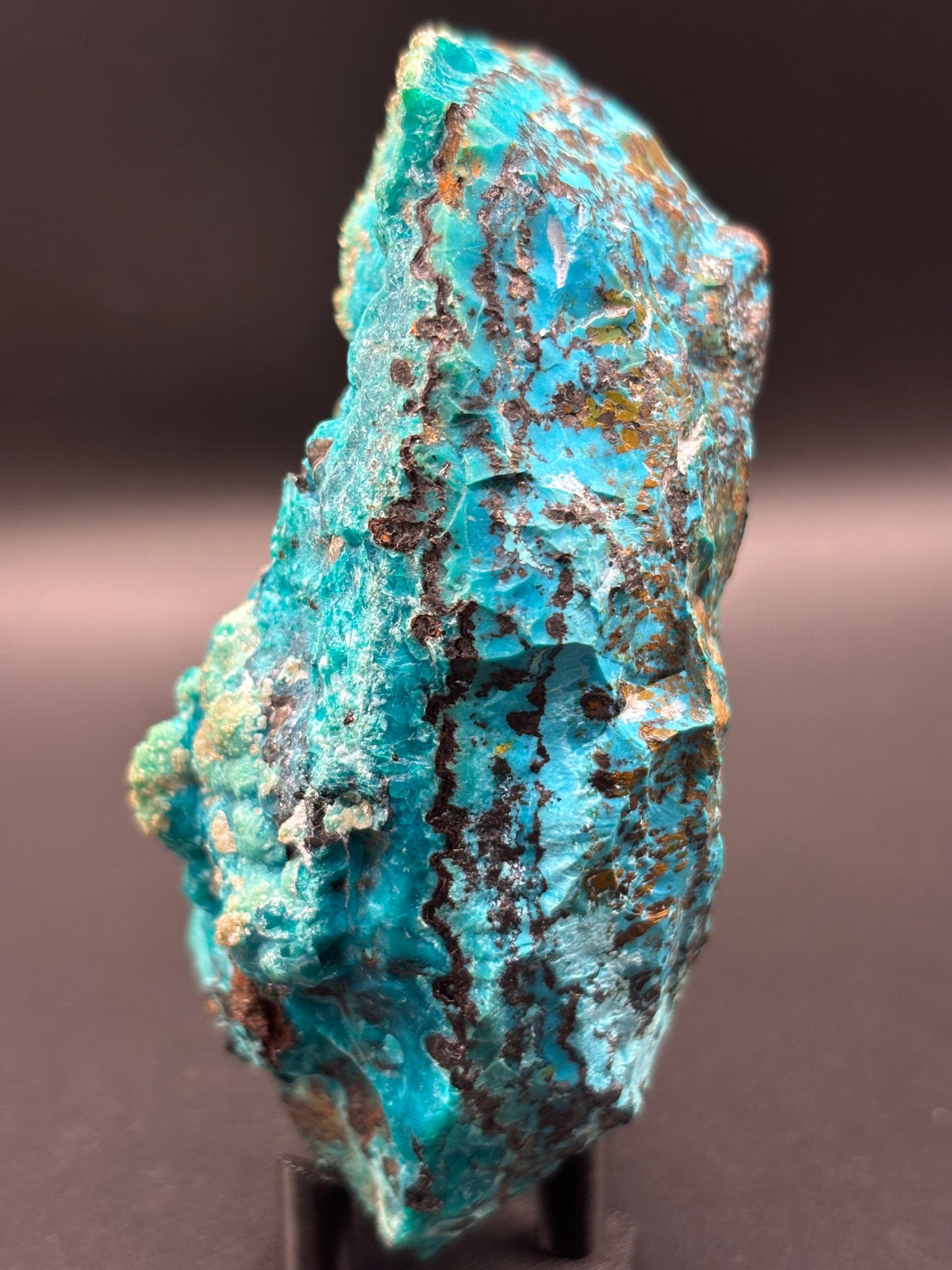 Chrysocolla Specimen – 79 Mine, Gila County, Arizona | 2024 Discovery