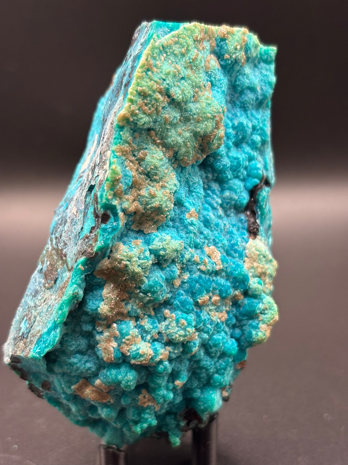 Chrysocolla Specimen – 79 Mine, Gila County, Arizona | 2024 Discovery