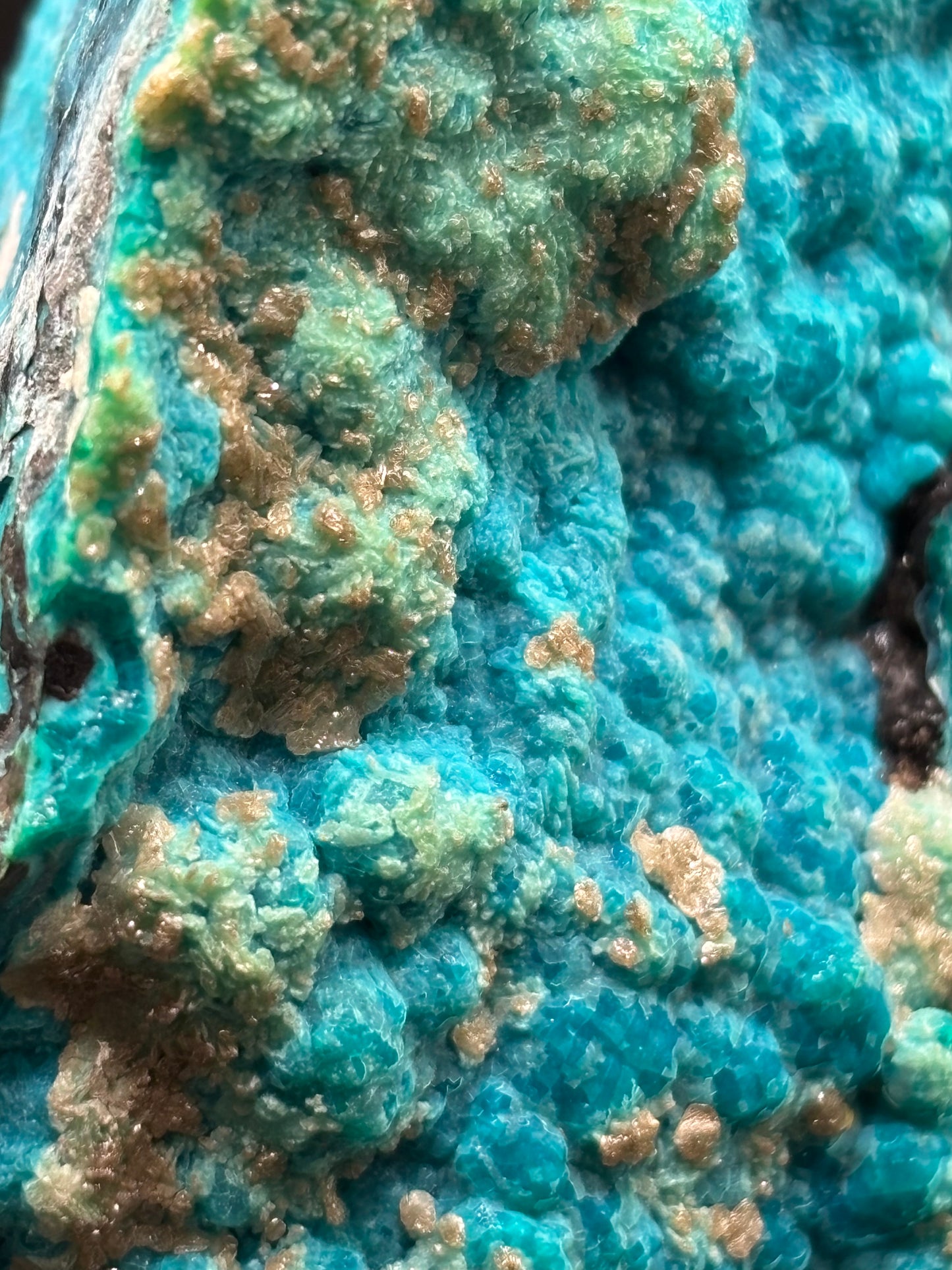 Chrysocolla Specimen – 79 Mine, Gila County, Arizona | 2024 Discovery