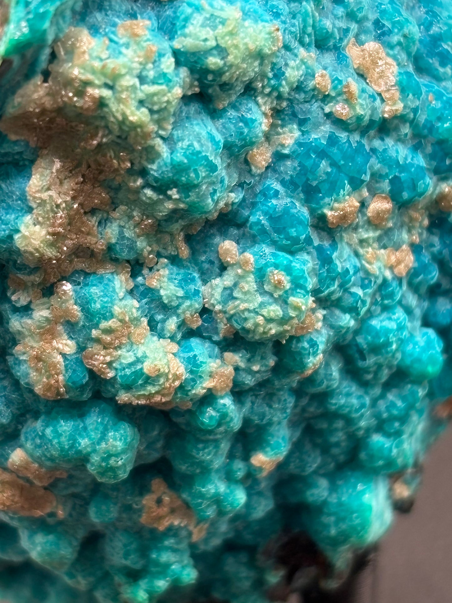 Chrysocolla Specimen – 79 Mine, Gila County, Arizona | 2024 Discovery