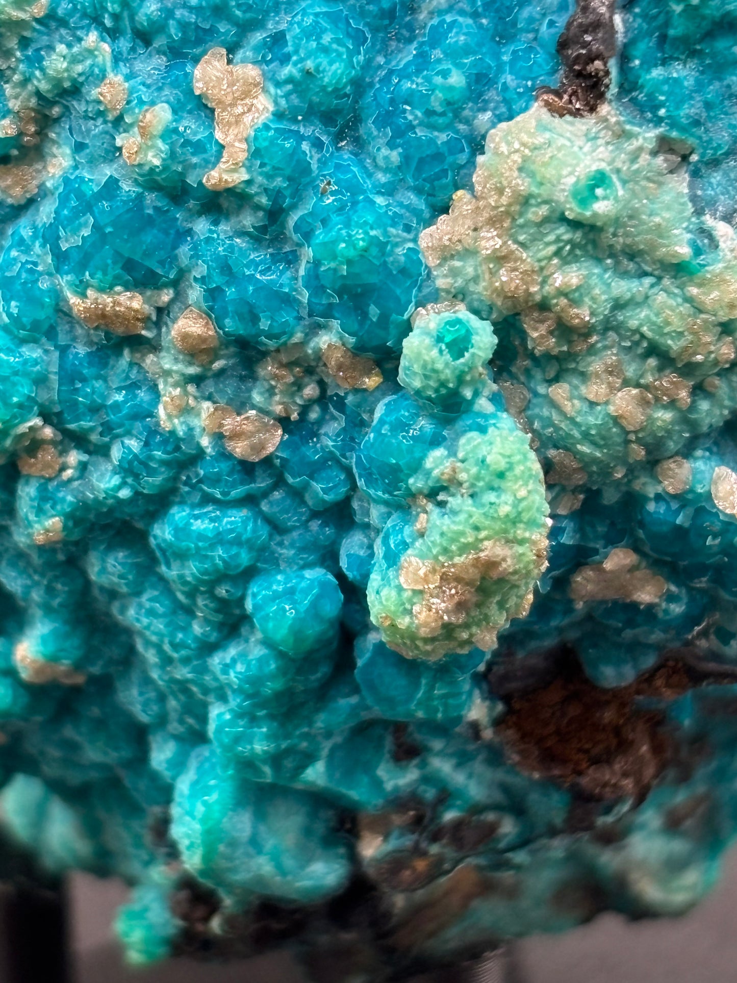 Chrysocolla Specimen – 79 Mine, Gila County, Arizona | 2024 Discovery