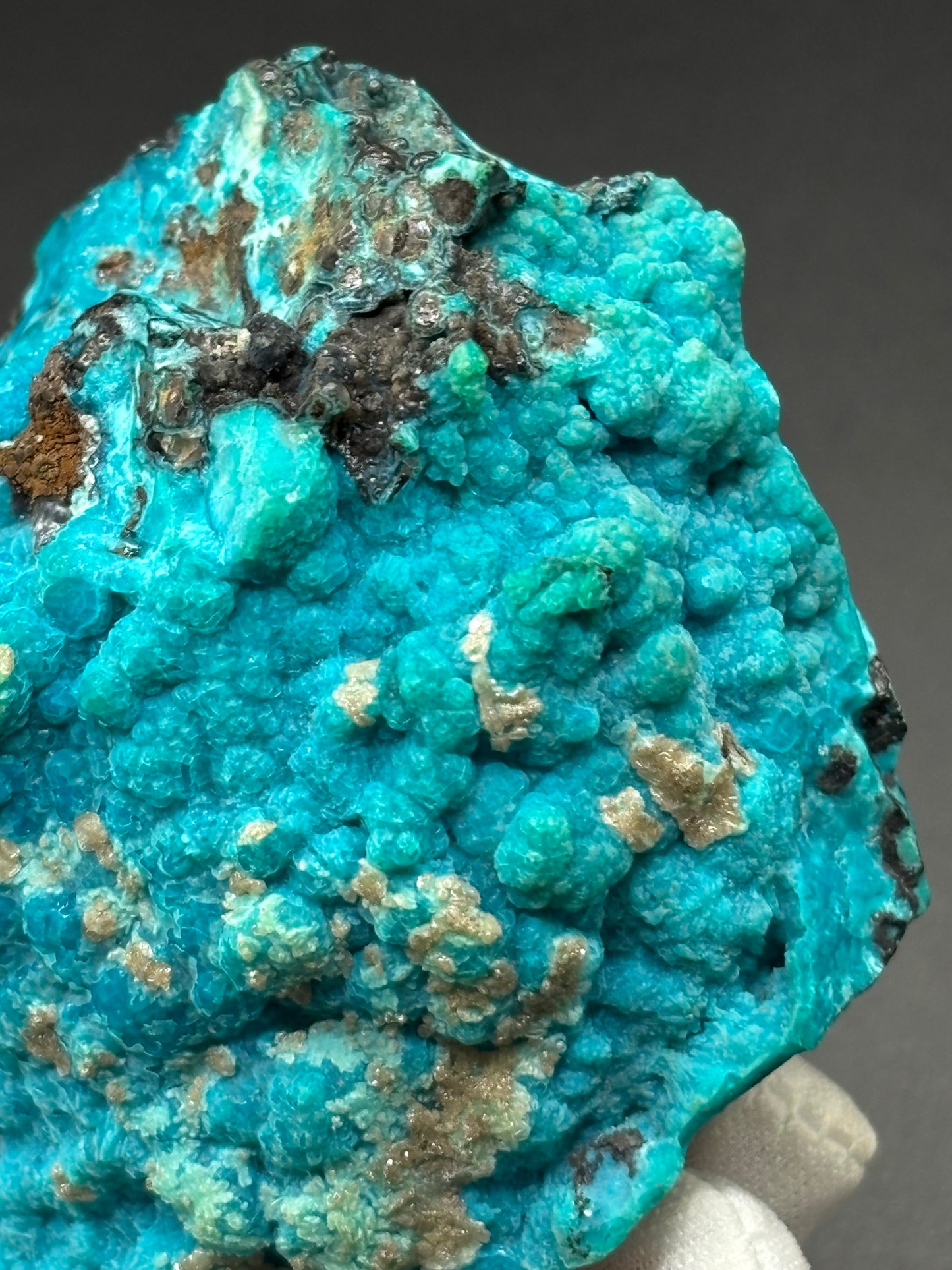 Chrysocolla Specimen – 79 Mine, Gila County, Arizona | 2024 Discovery
