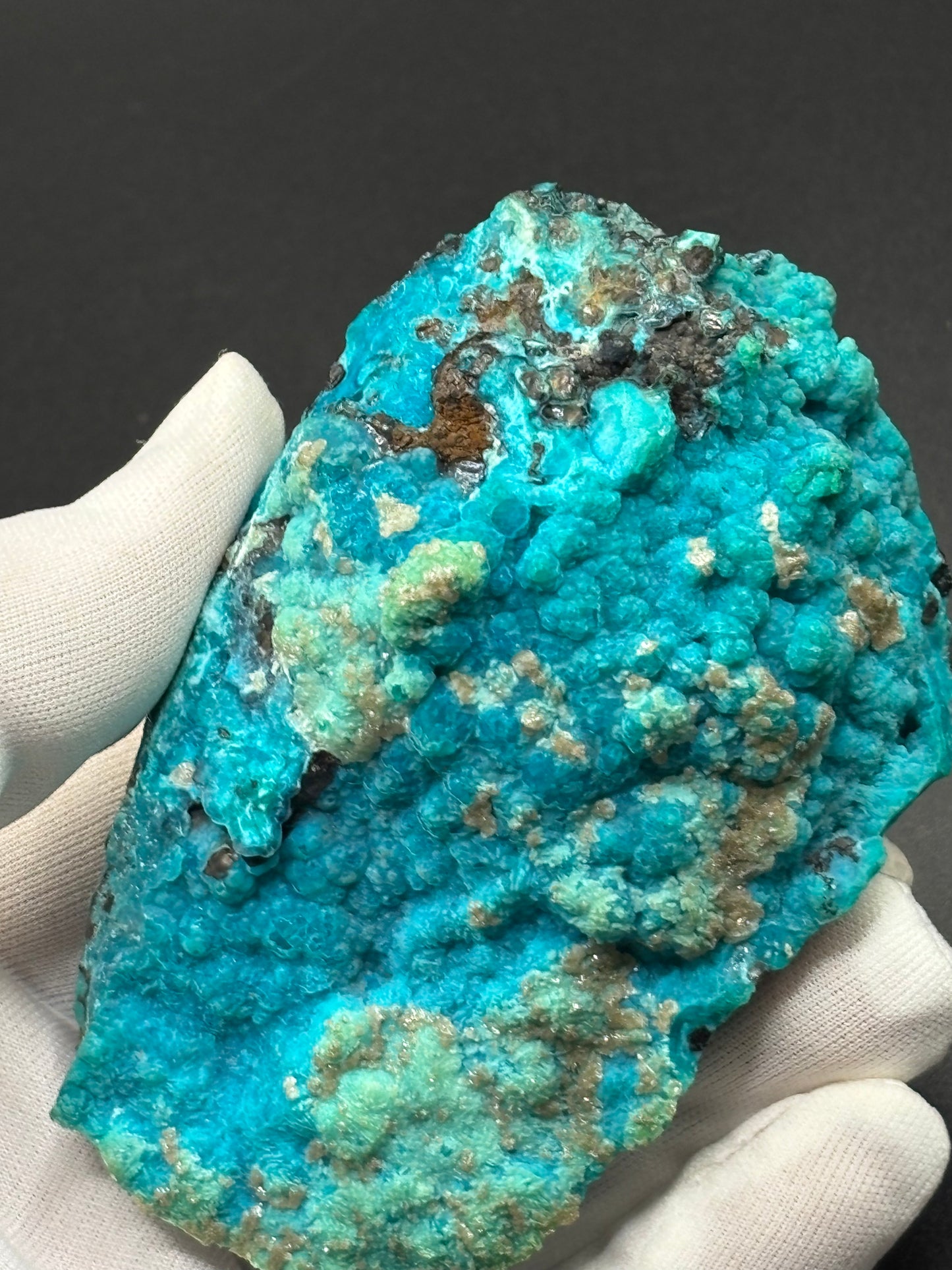 Chrysocolla Specimen – 79 Mine, Gila County, Arizona | 2024 Discovery
