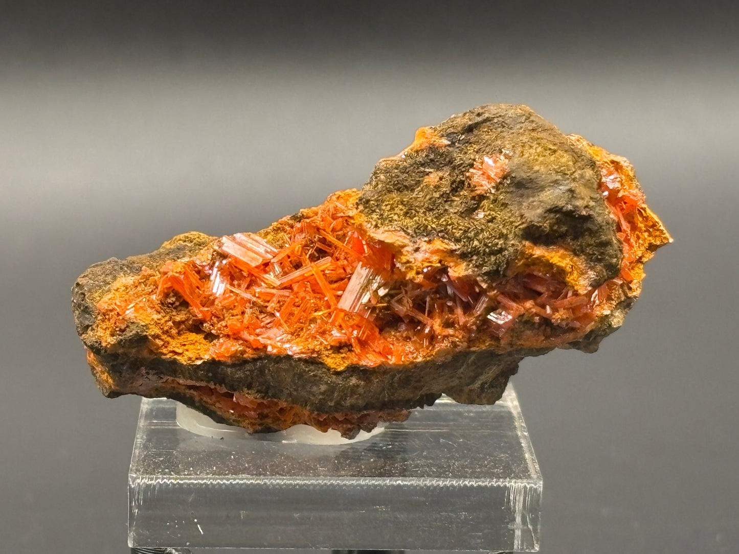Crocoite Crystal Specimen – Red Lead Mine, Dundas, Zeehan District, Tasmania, Australia