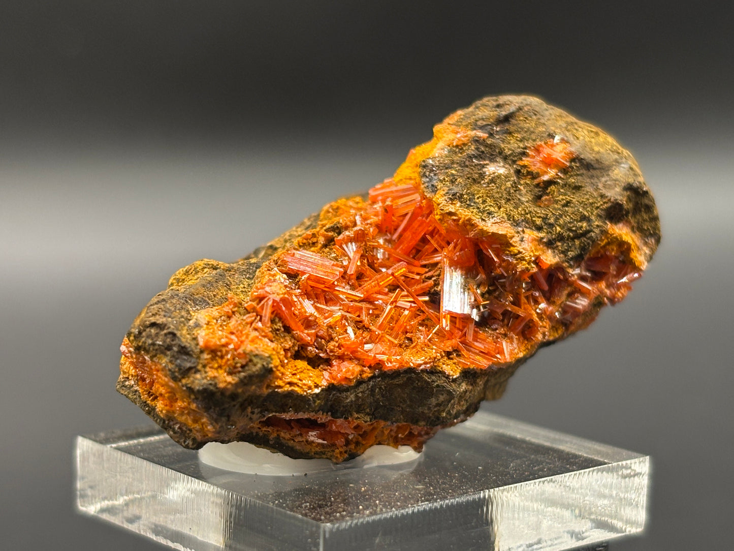 Crocoite Crystal Specimen – Red Lead Mine, Dundas, Zeehan District, Tasmania, Australia