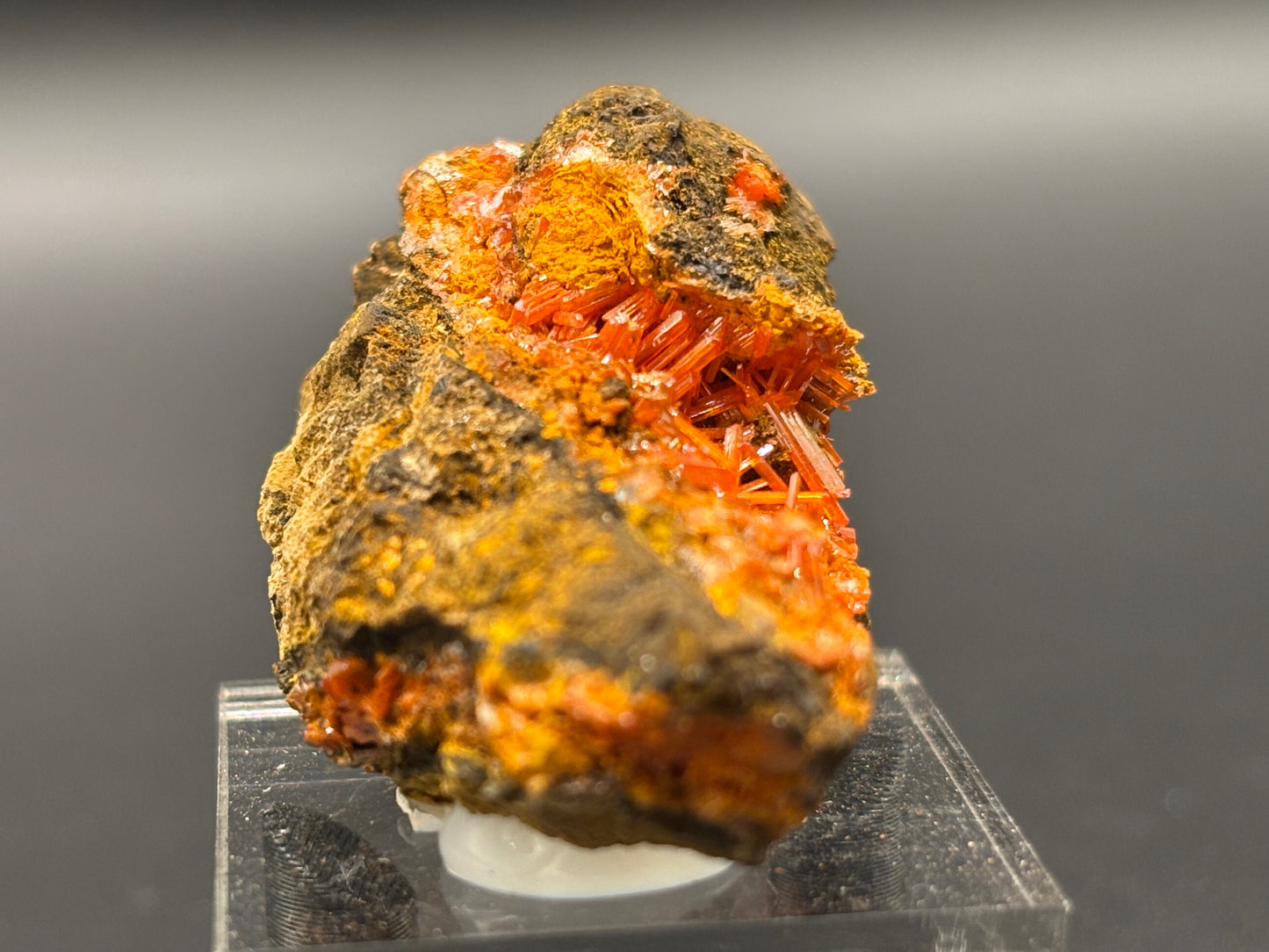 Crocoite Crystal Specimen – Red Lead Mine, Dundas, Zeehan District, Tasmania, Australia
