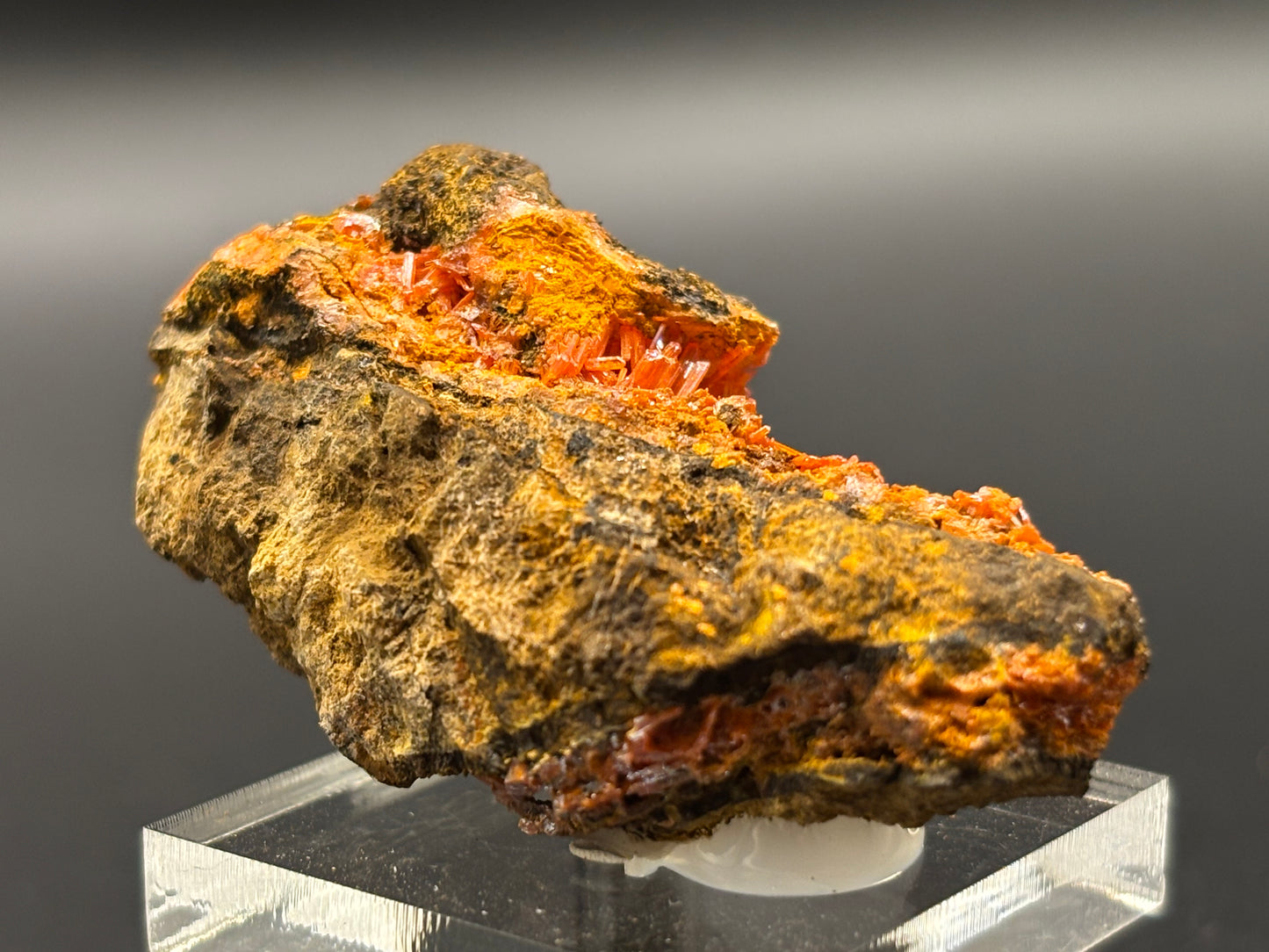 Crocoite Crystal Specimen – Red Lead Mine, Dundas, Zeehan District, Tasmania, Australia