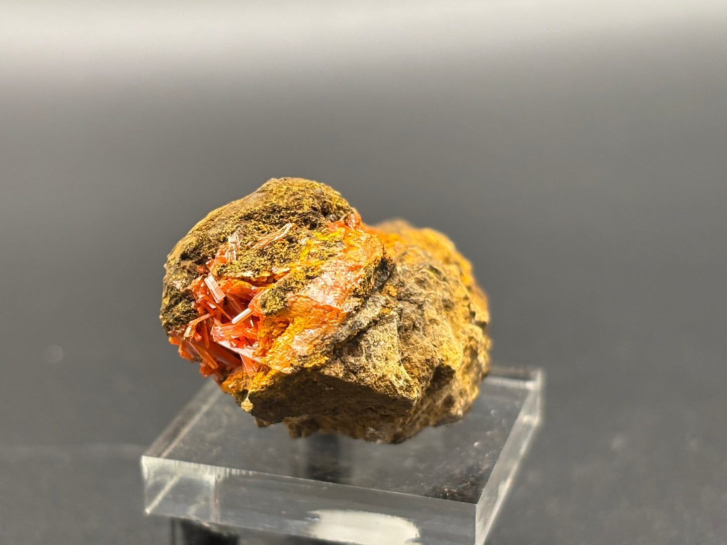 Crocoite Crystal Specimen – Red Lead Mine, Dundas, Zeehan District, Tasmania, Australia