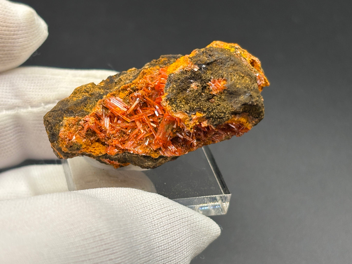 Crocoite Crystal Specimen – Red Lead Mine, Dundas, Zeehan District, Tasmania, Australia