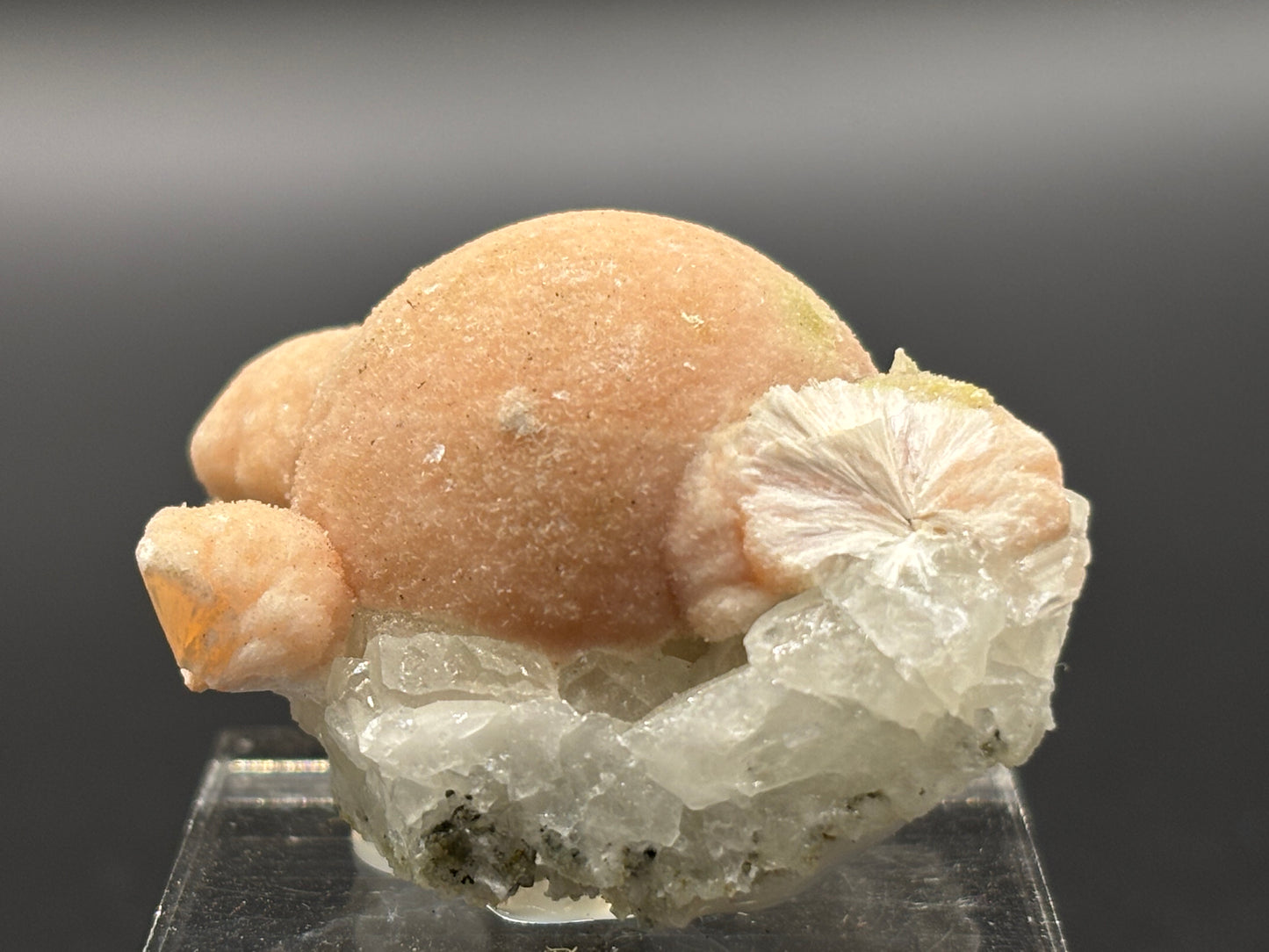 Pectolite on Datolite – Millington Quarry, Millington, Somerset County, New Jersey
