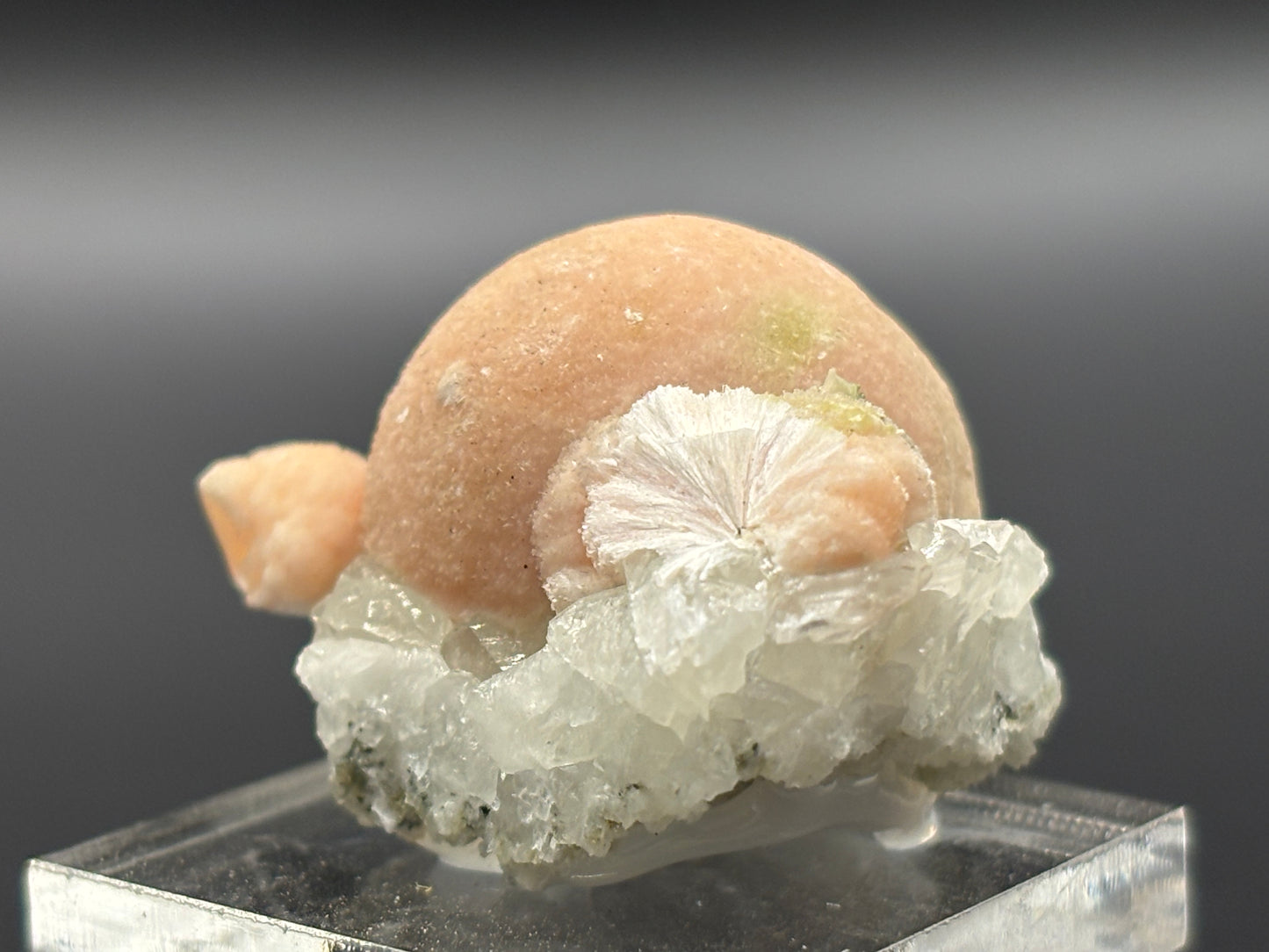 Pectolite on Datolite – Millington Quarry, Millington, Somerset County, New Jersey