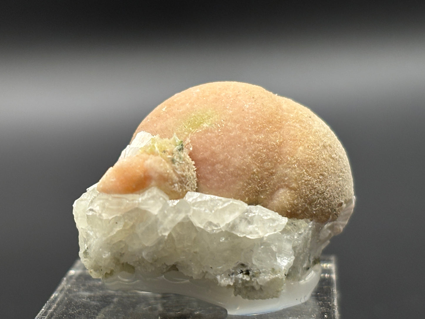 Pectolite on Datolite – Millington Quarry, Millington, Somerset County, New Jersey