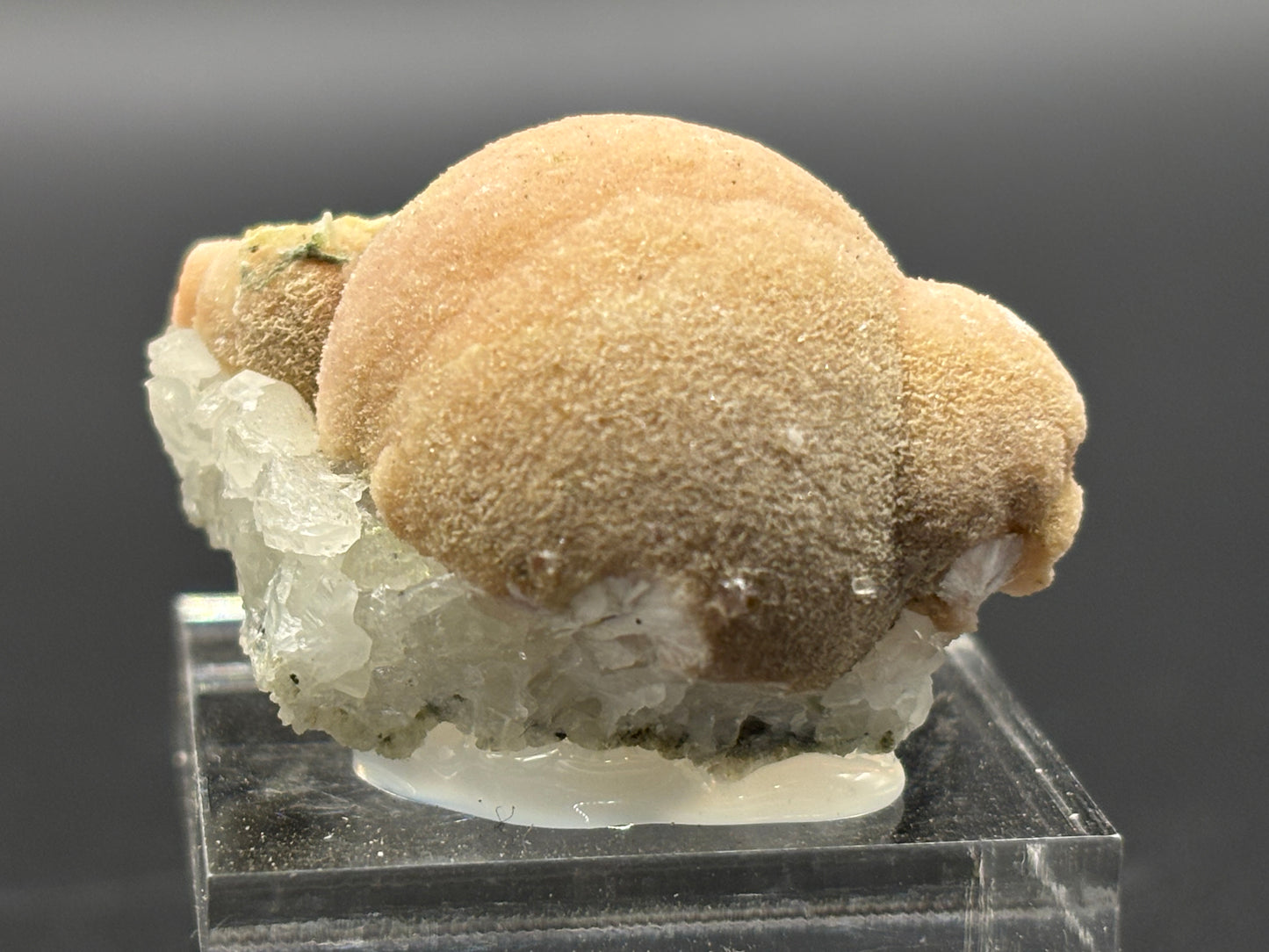 Pectolite on Datolite – Millington Quarry, Millington, Somerset County, New Jersey