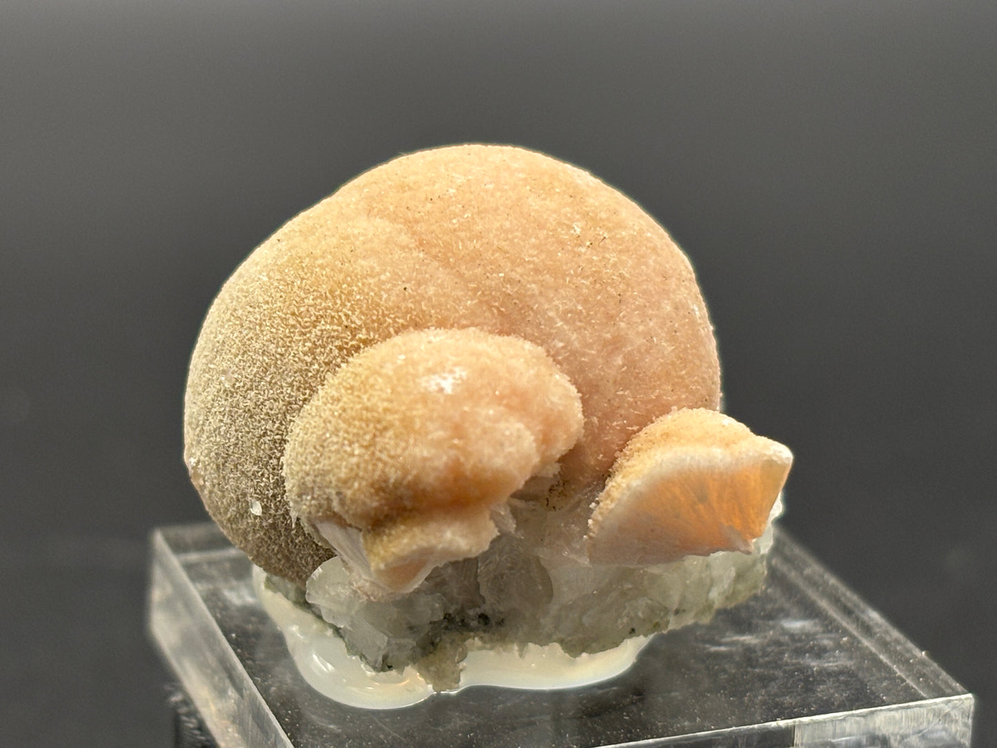 Pectolite on Datolite – Millington Quarry, Millington, Somerset County, New Jersey