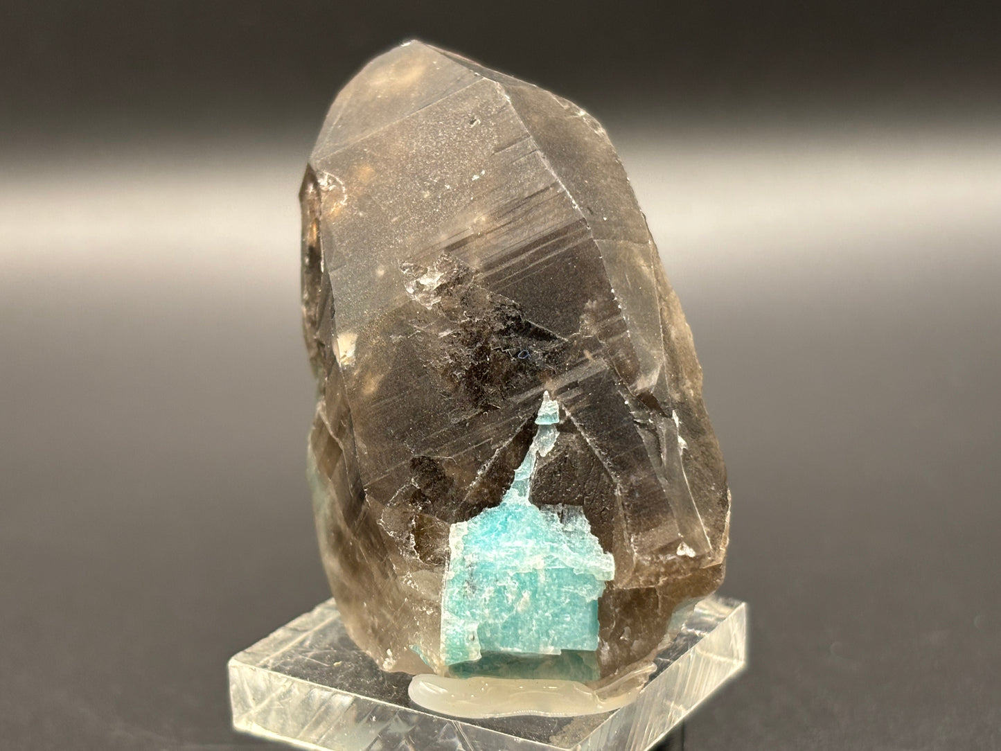 Amazonite with Smoky Quartz Crystal Group – Smoky Hawk Mine, Teller County, Colorado | Perthitic Amazonite Crystals