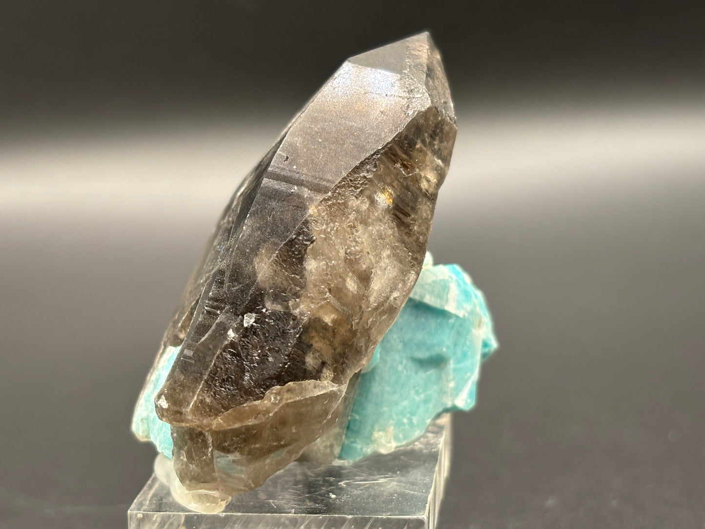 Amazonite with Smoky Quartz Crystal Group – Smoky Hawk Mine, Teller County, Colorado | Perthitic Amazonite Crystals