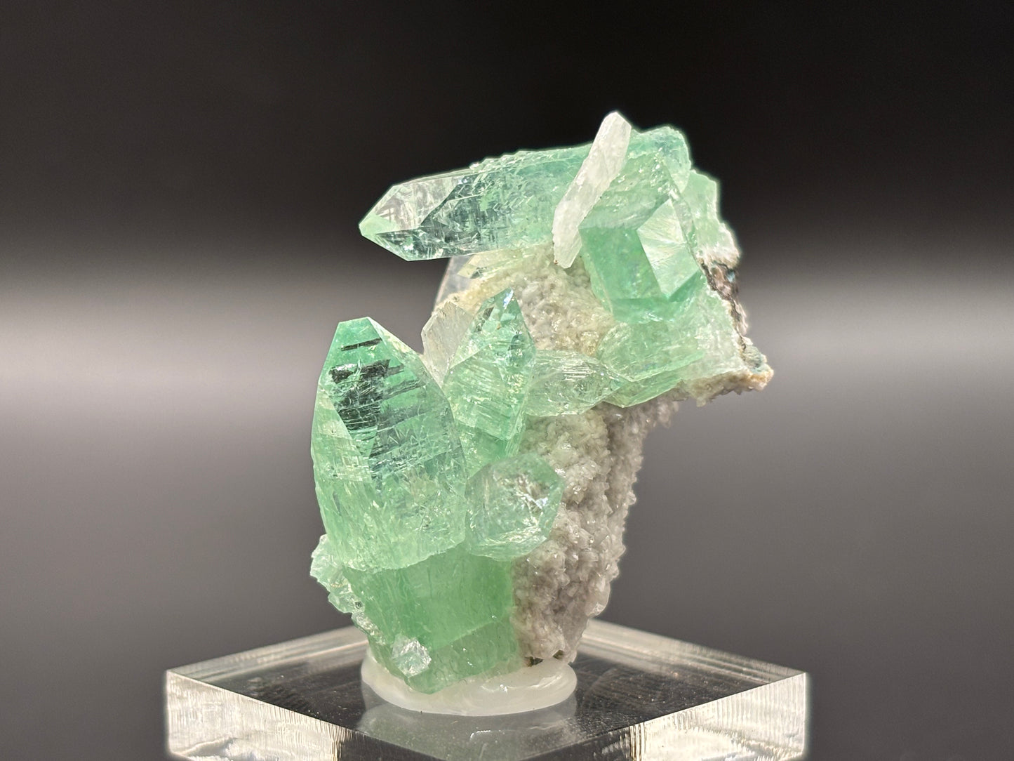 Green Apophyllite Crystal Specimen – Pashan Quarry, Pune (Poona), Maharashtra, India