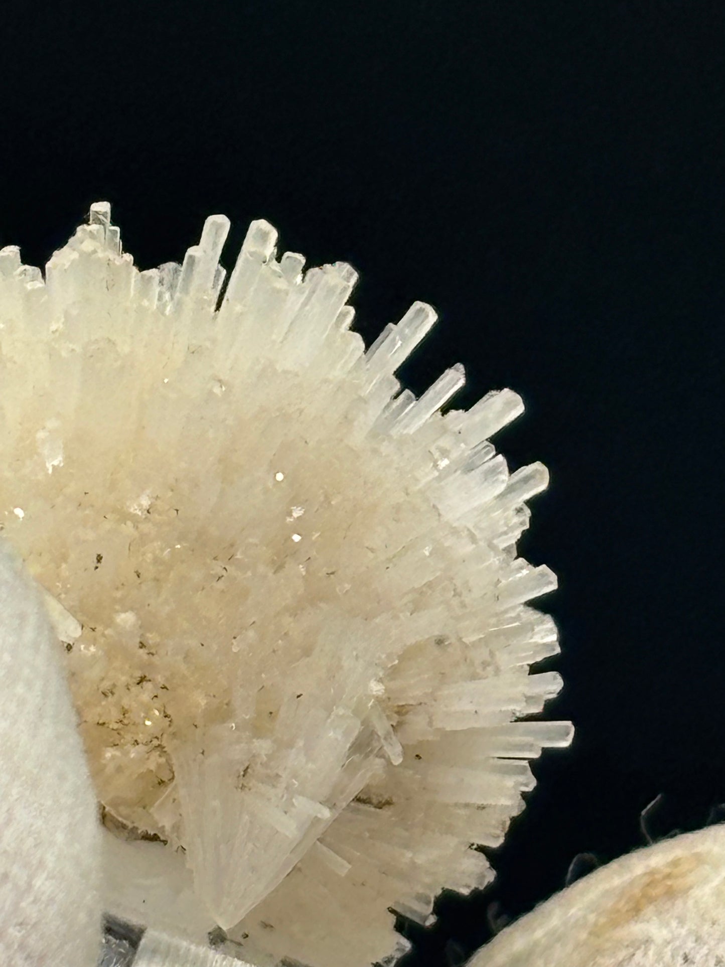 Natrolite Crystal Specimen – Cape Grim, Tasmania, Australia