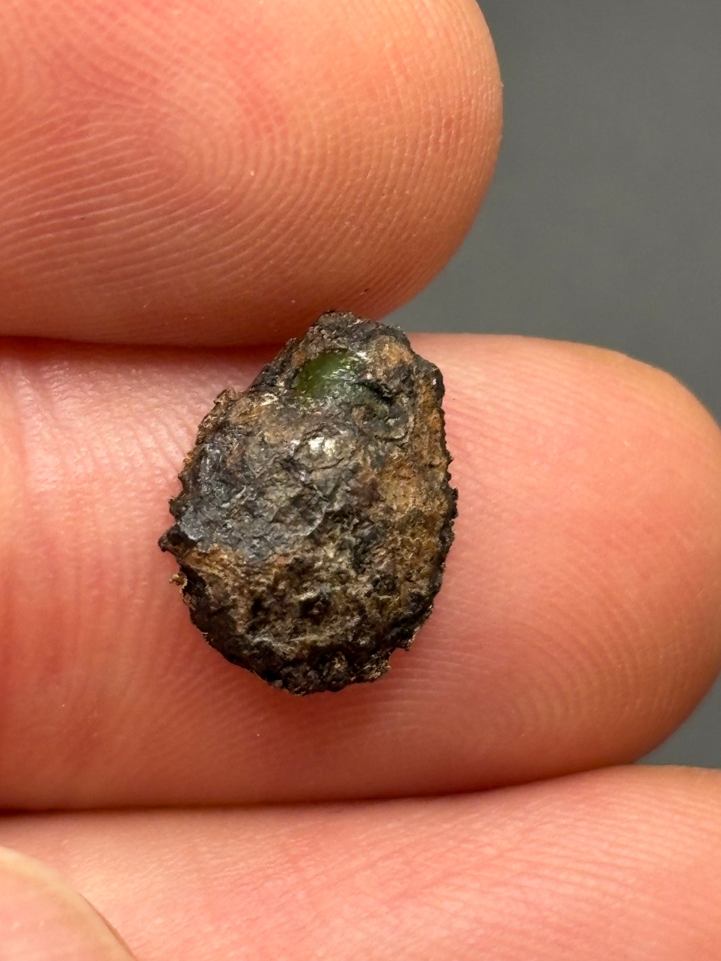 Bagdad Iron Meteorite (IIIAB) – Historic Arizona Find Near Burro Creek – Official Meteorite – 1959 Discovery