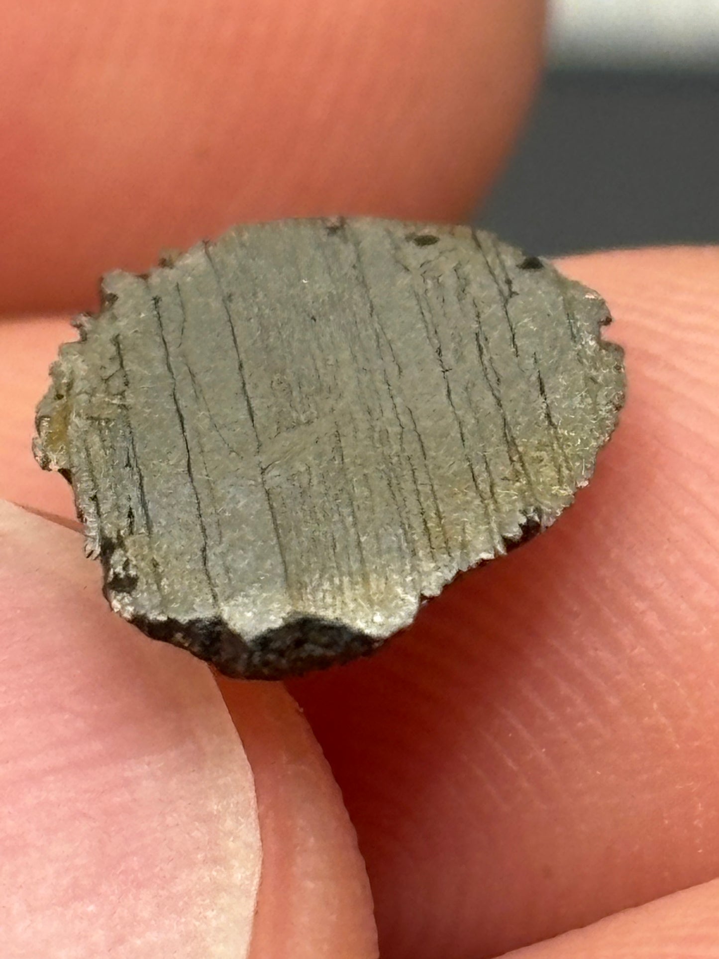 Bagdad Iron Meteorite (IIIAB) – Historic Arizona Find Near Burro Creek – Official Meteorite – 1959 Discovery