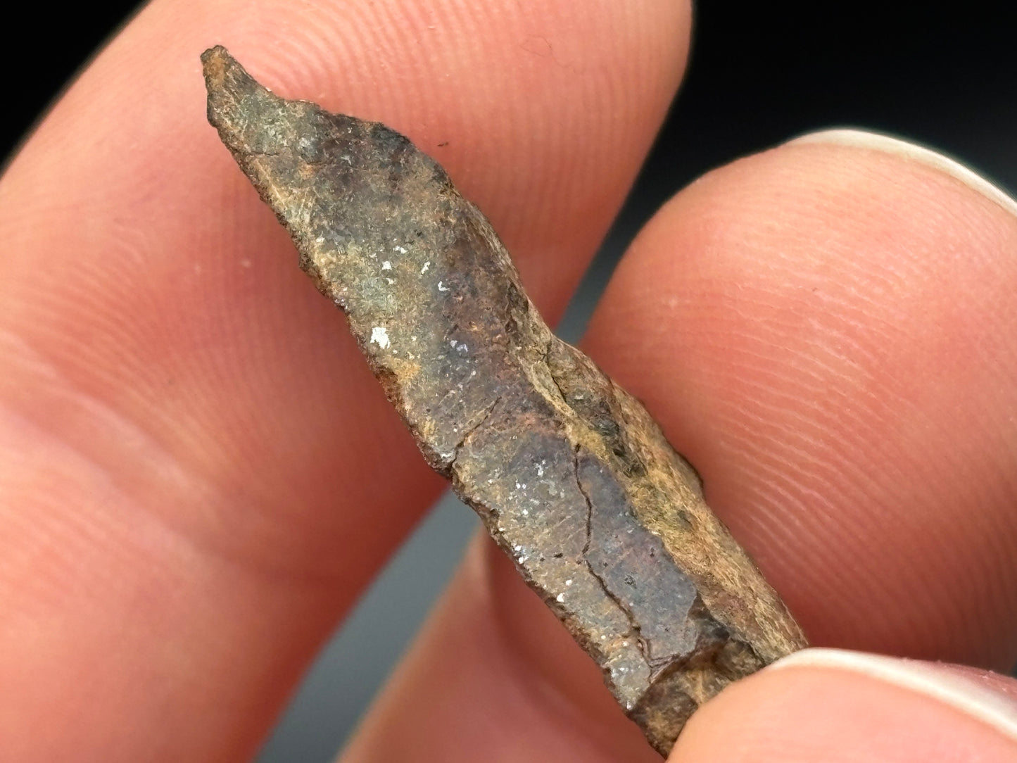 Trilby Wash Meteorite (2.8 Grams) – Official Arizona L4 Chondrite Partial Polished Fragment | Southern–Sloan Provenance