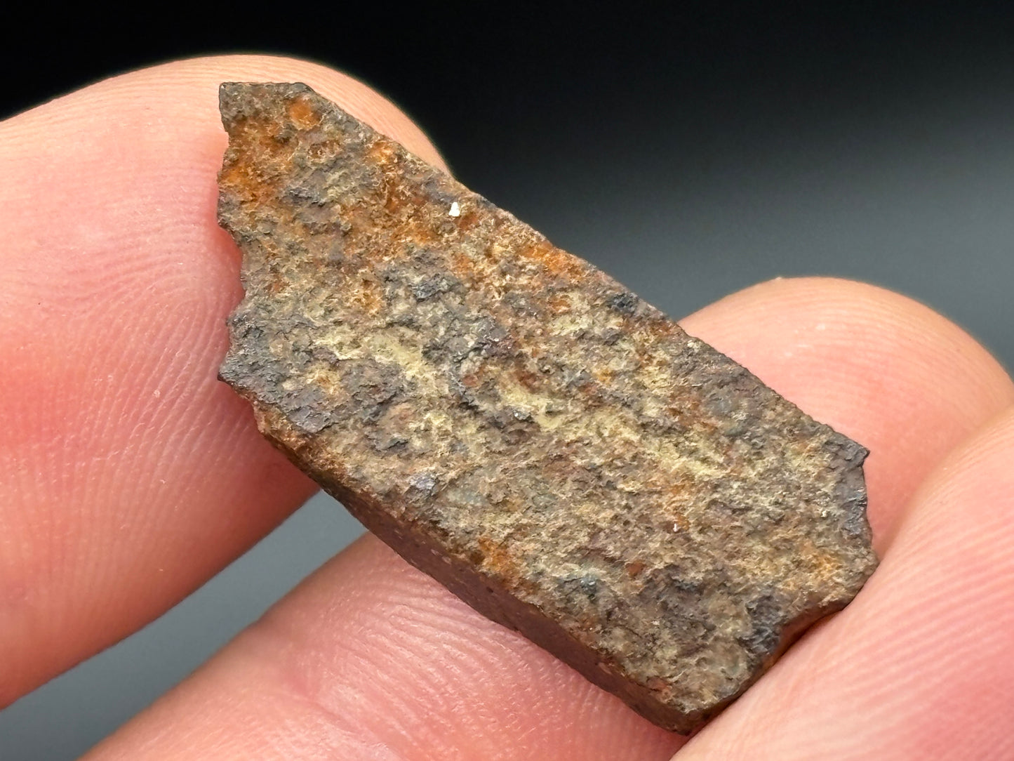 Trilby Wash Meteorite (2.8 Grams) – Official Arizona L4 Chondrite Partial Polished Fragment | Southern–Sloan Provenance