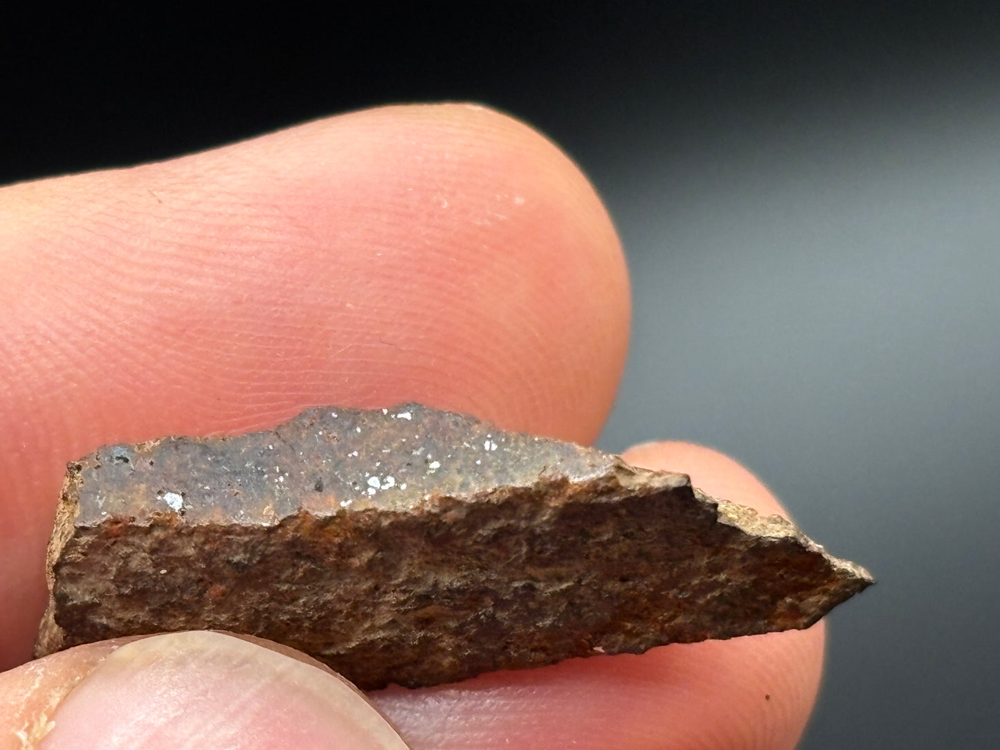 Trilby Wash Meteorite (2.8 Grams) – Official Arizona L4 Chondrite Partial Polished Fragment | Southern–Sloan Provenance