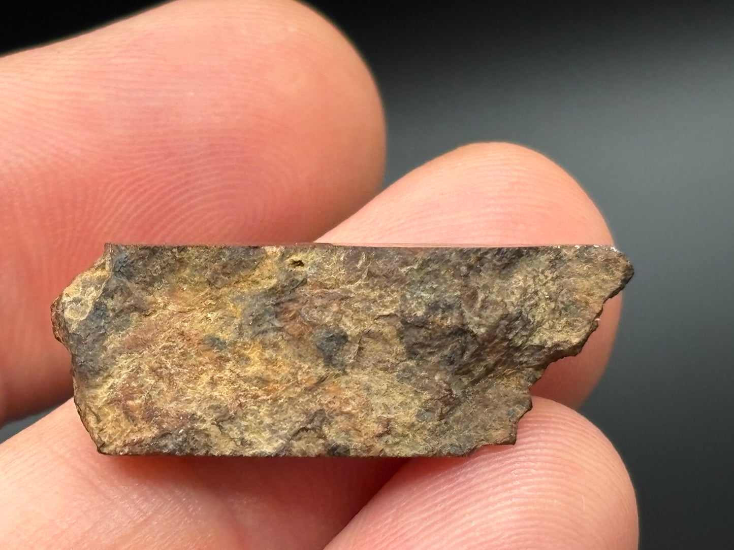 Trilby Wash Meteorite (2.8 Grams) – Official Arizona L4 Chondrite Partial Polished Fragment | Southern–Sloan Provenance
