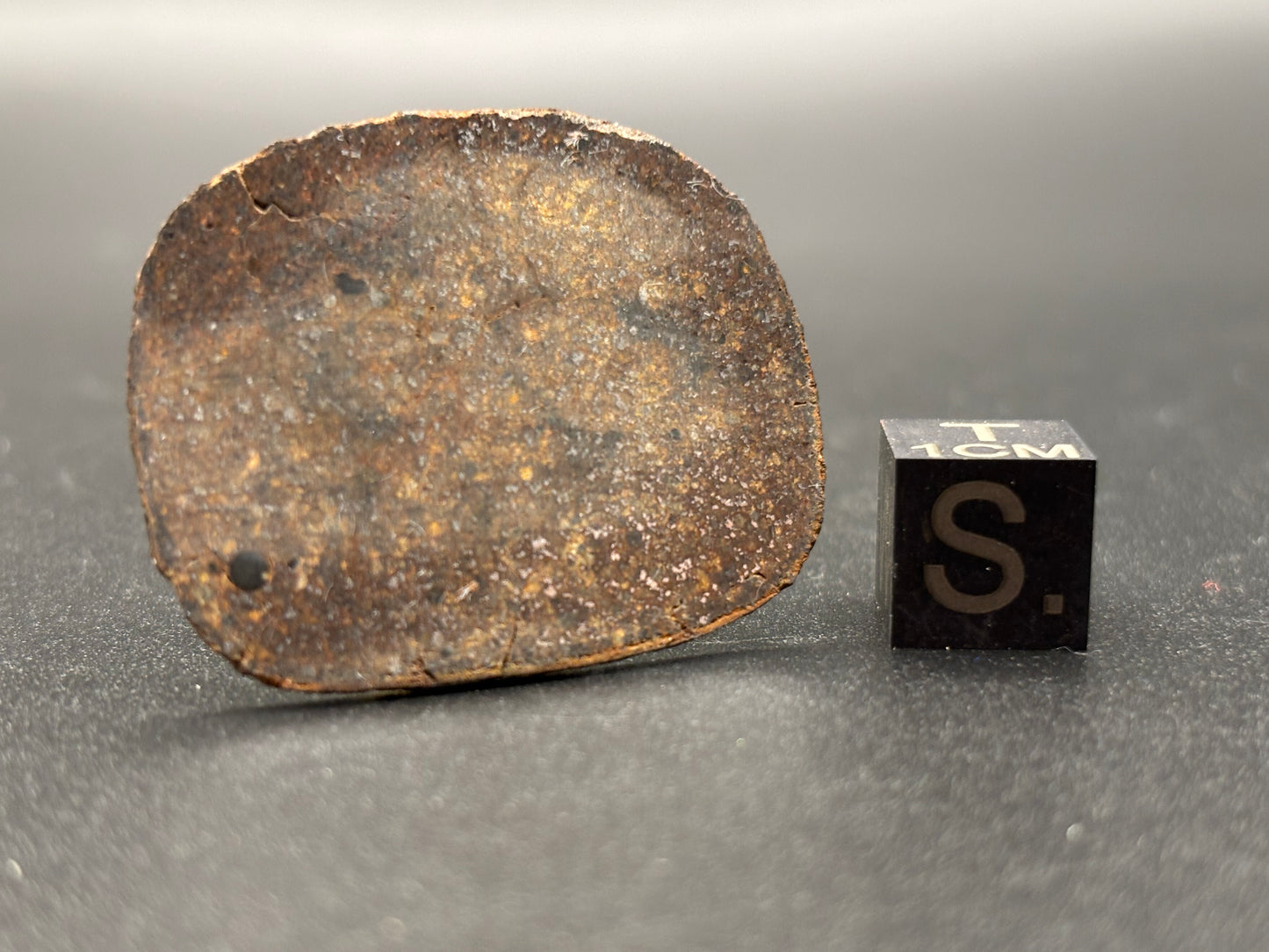 Rare Thumb Butte Meteorite (5.1 Grams) – Official Arizona H3.8 Chondrite | Todd Parker Provenance
