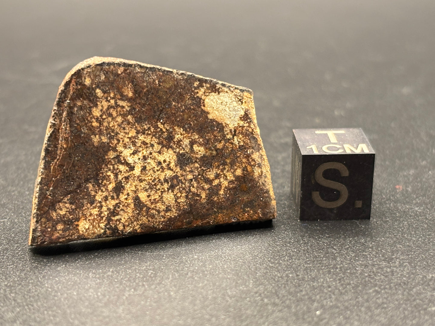 Bullhead City Meteorite Slice (7.3 Grams) – Official Arizona L6 Chondrite