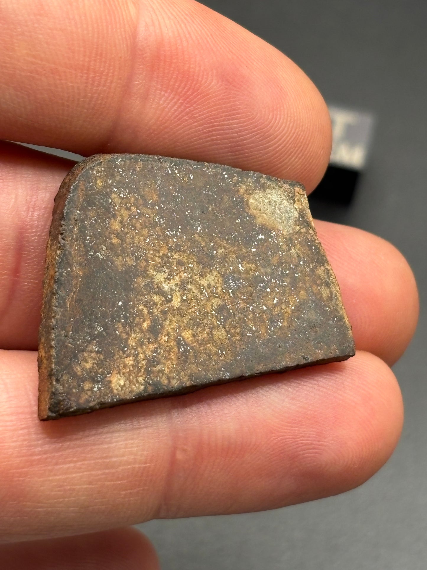 Bullhead City Meteorite Slice (7.3 Grams) – Official Arizona L6 Chondrite