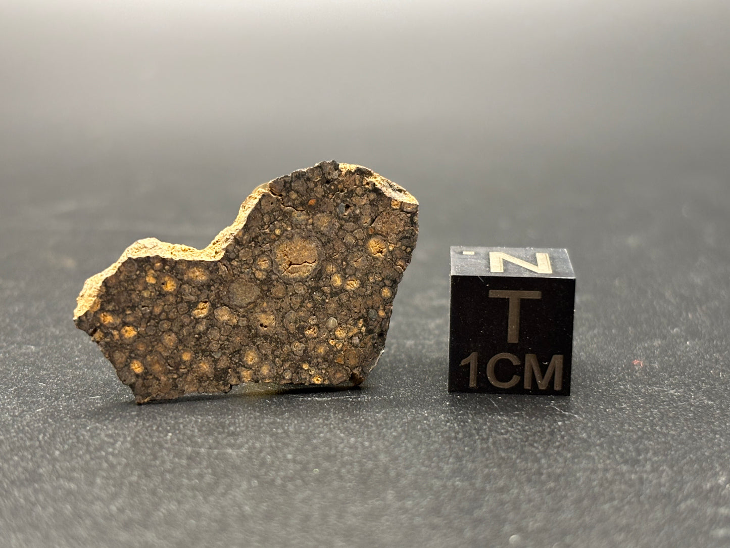Rare Temple Bar Carbonaceous Meteorite (1.8 Grams) – Official Arizona CR Chondrite | Southwest Meteorite Laboratory Provenance